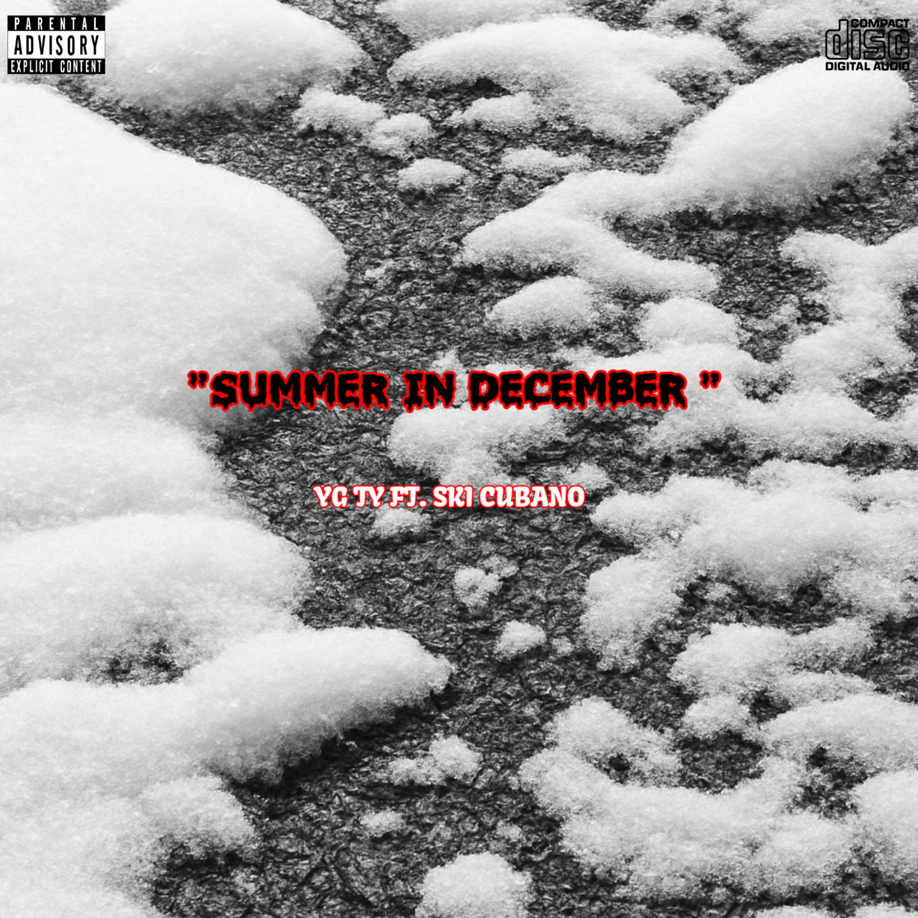 Summer In December artwork