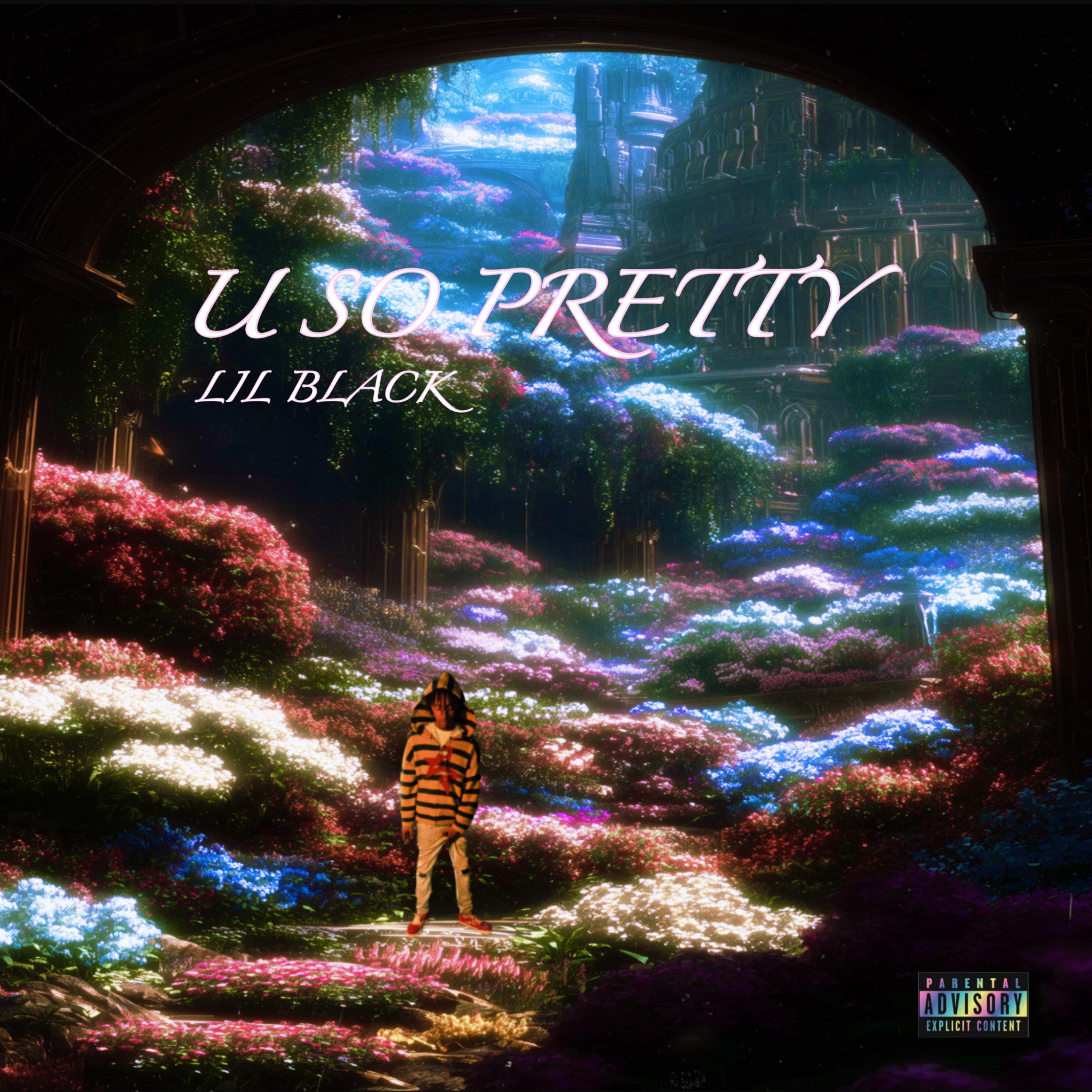 U So Pretty artwork