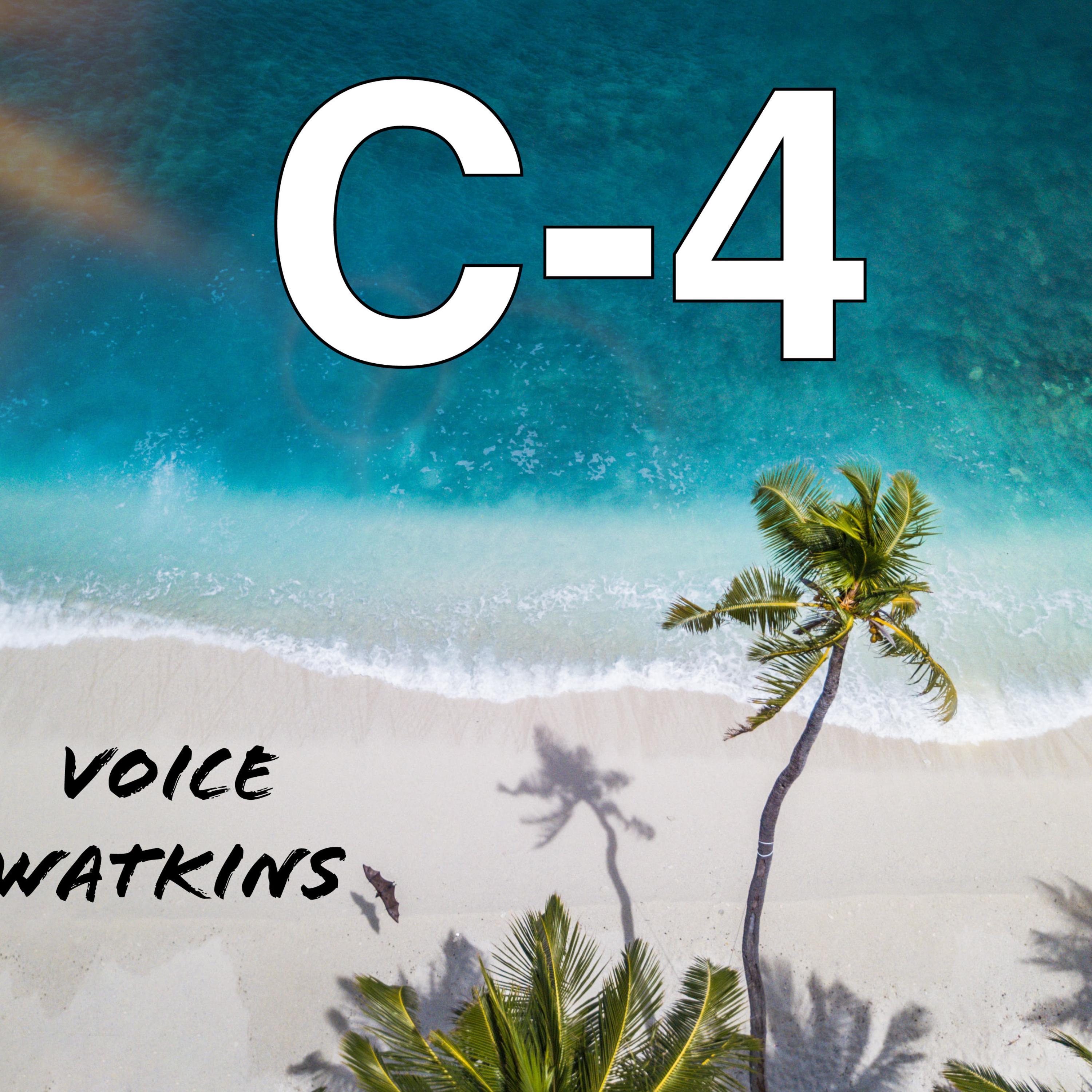 C-4 artwork