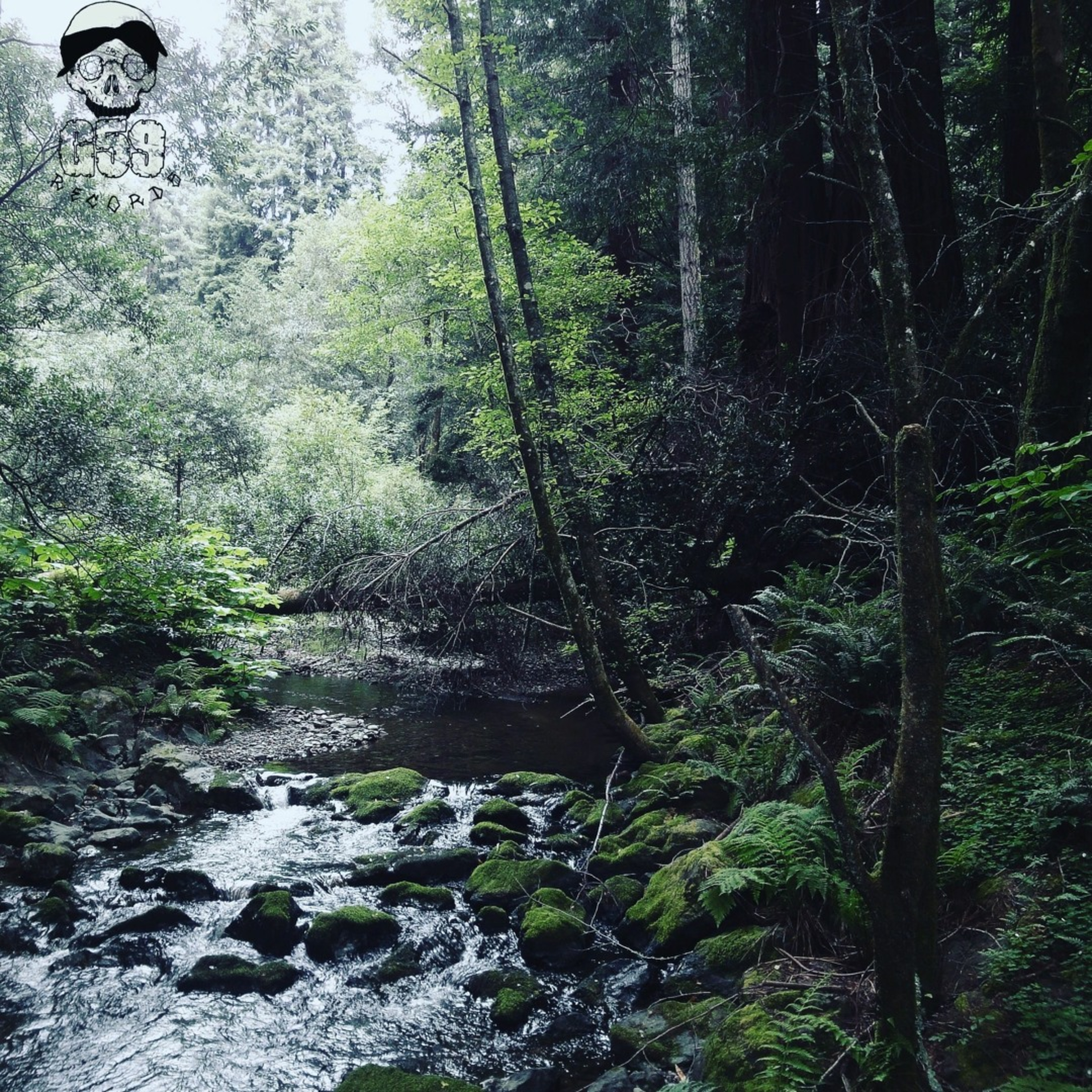 Meet Me Where the River Turns Grey artwork