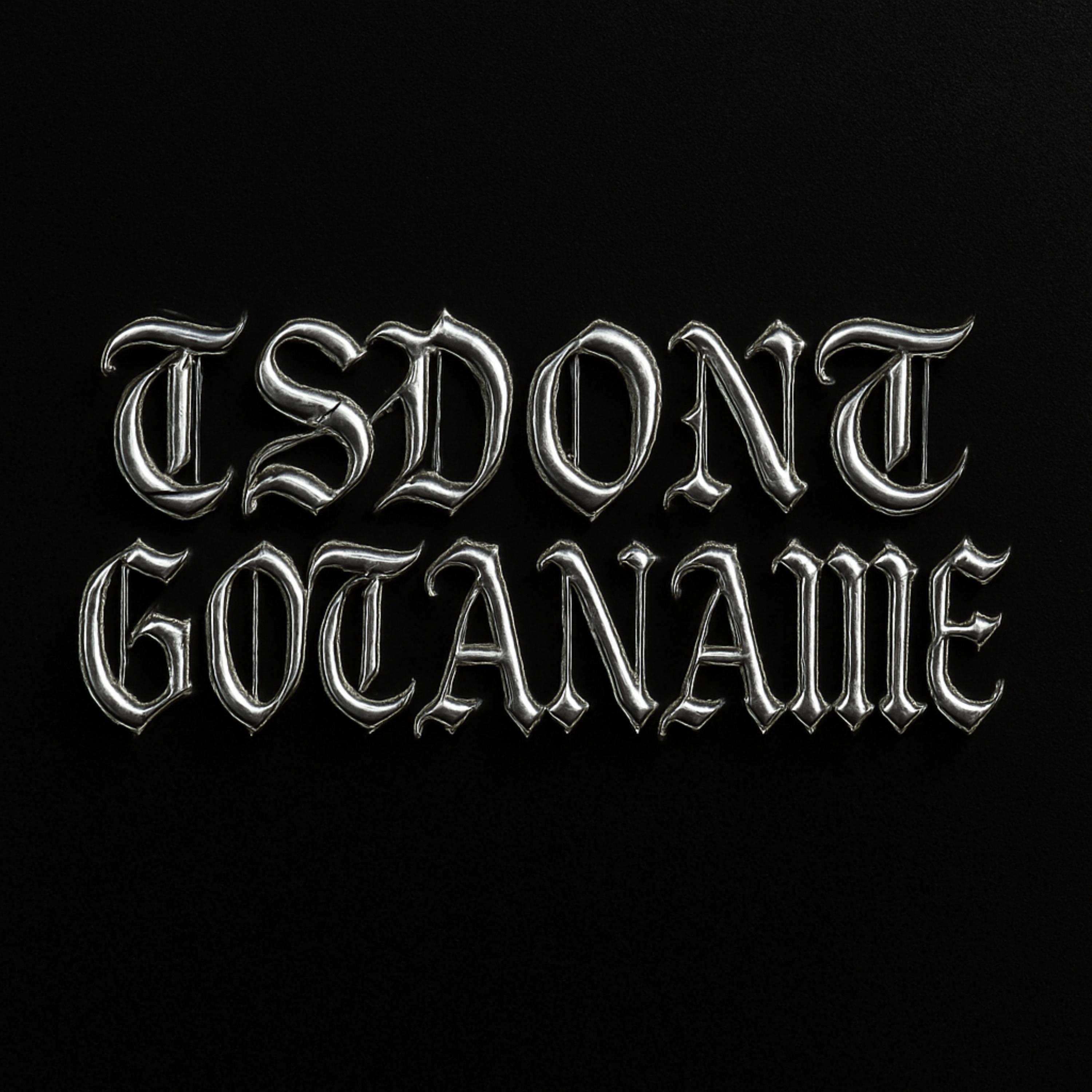TTSDONTGOTANAME! artwork