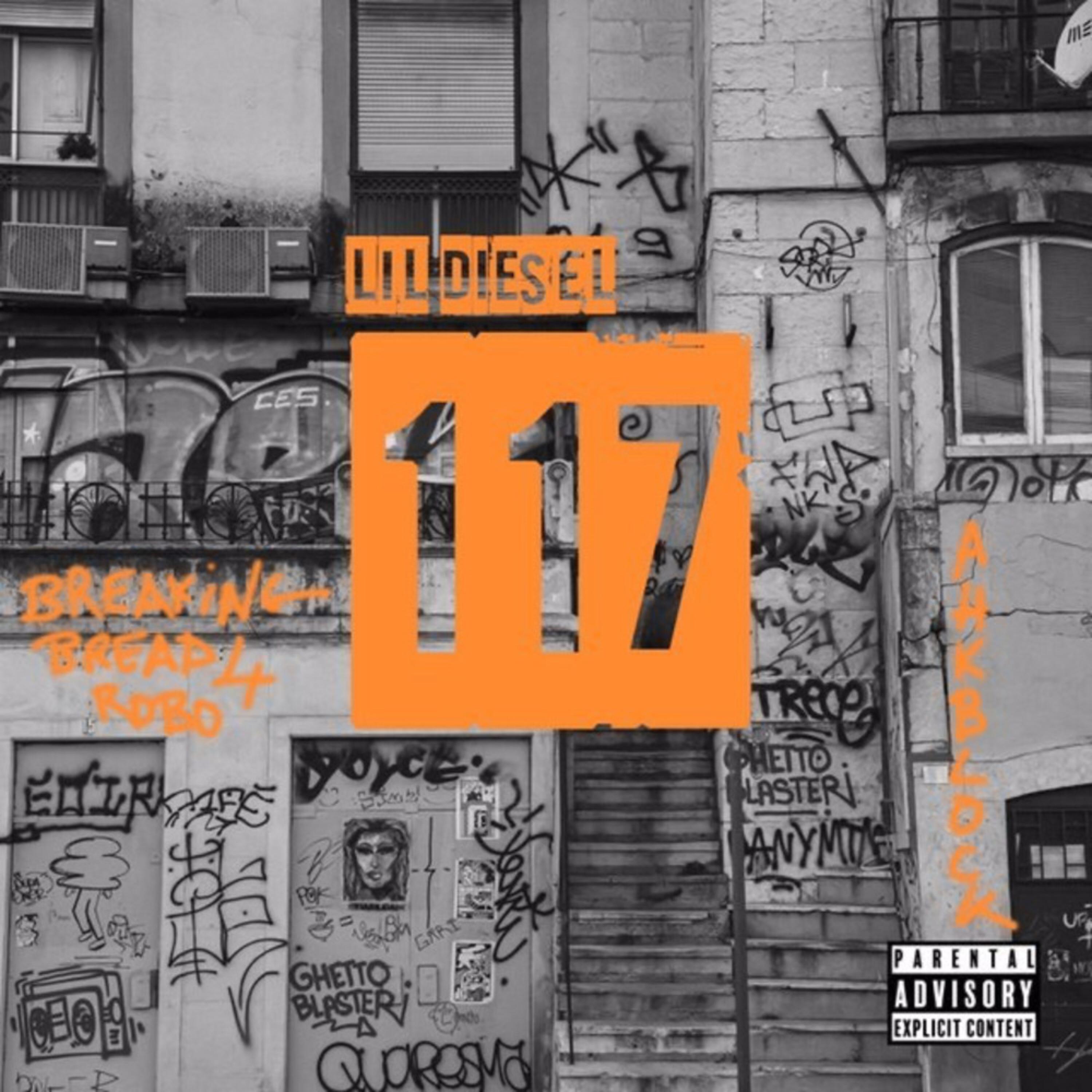 117 artwork