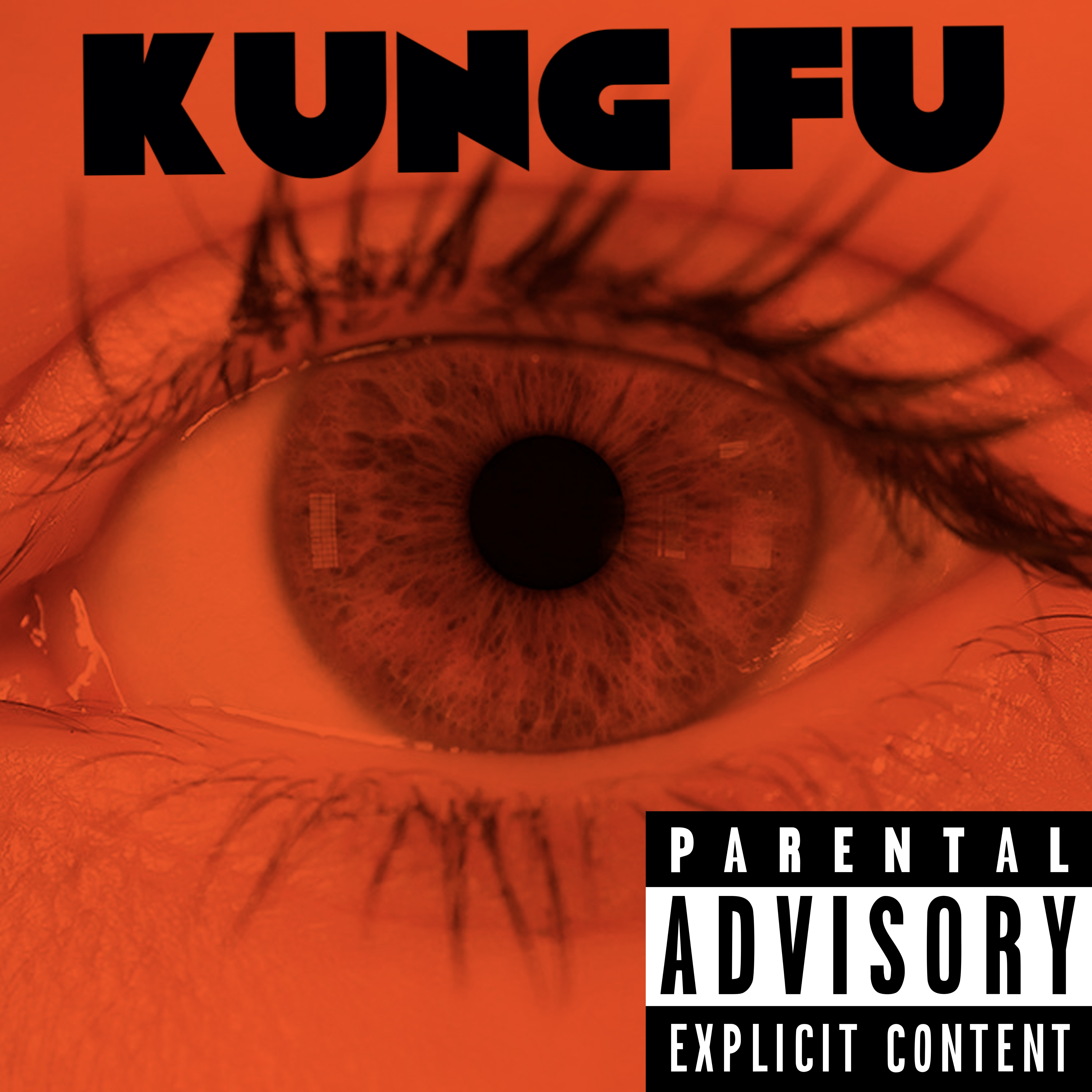 KUNG FU artwork