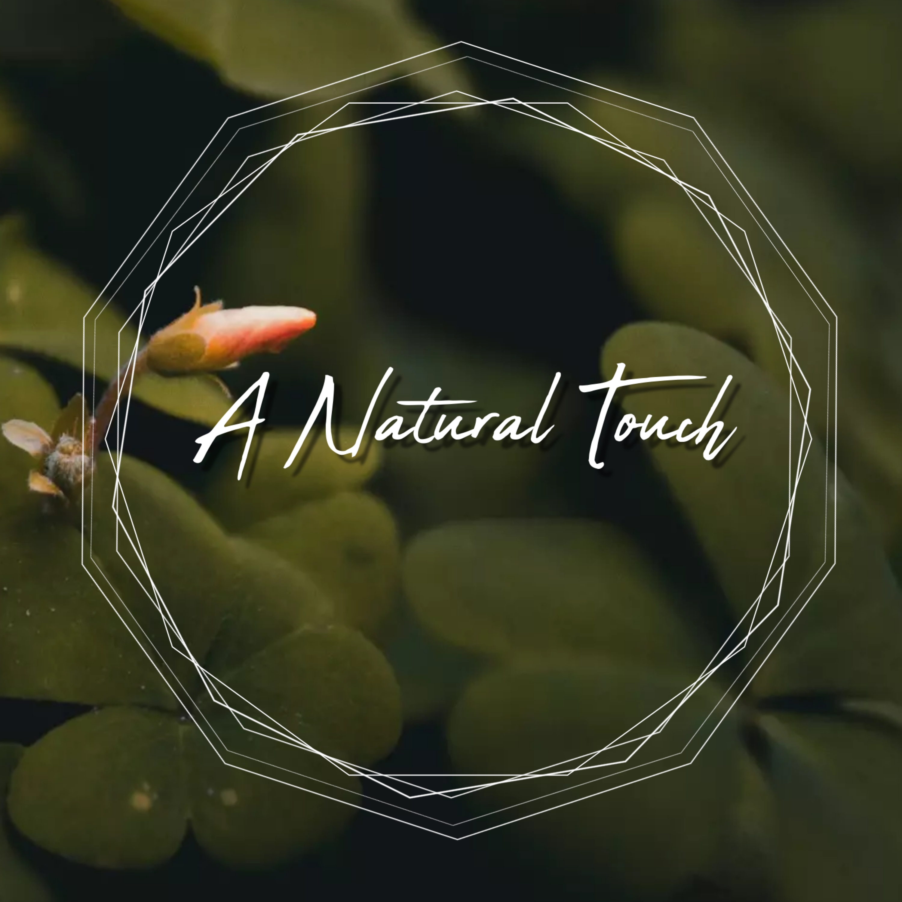 A Natural Touch artwork