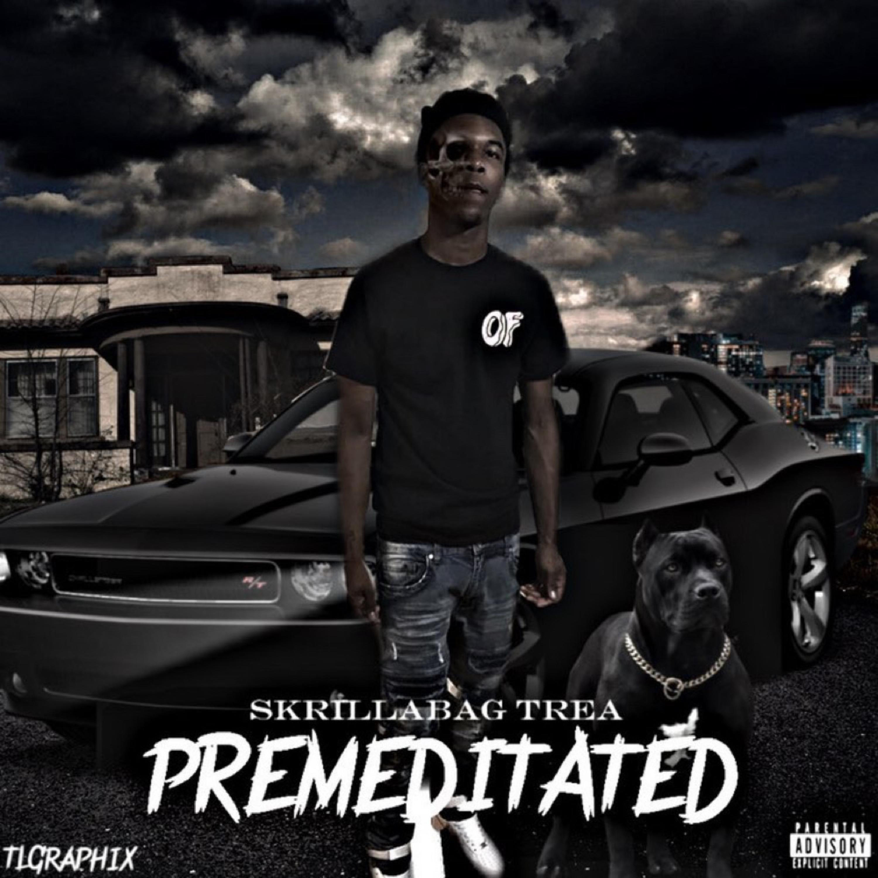 PREMEDITATED artwork