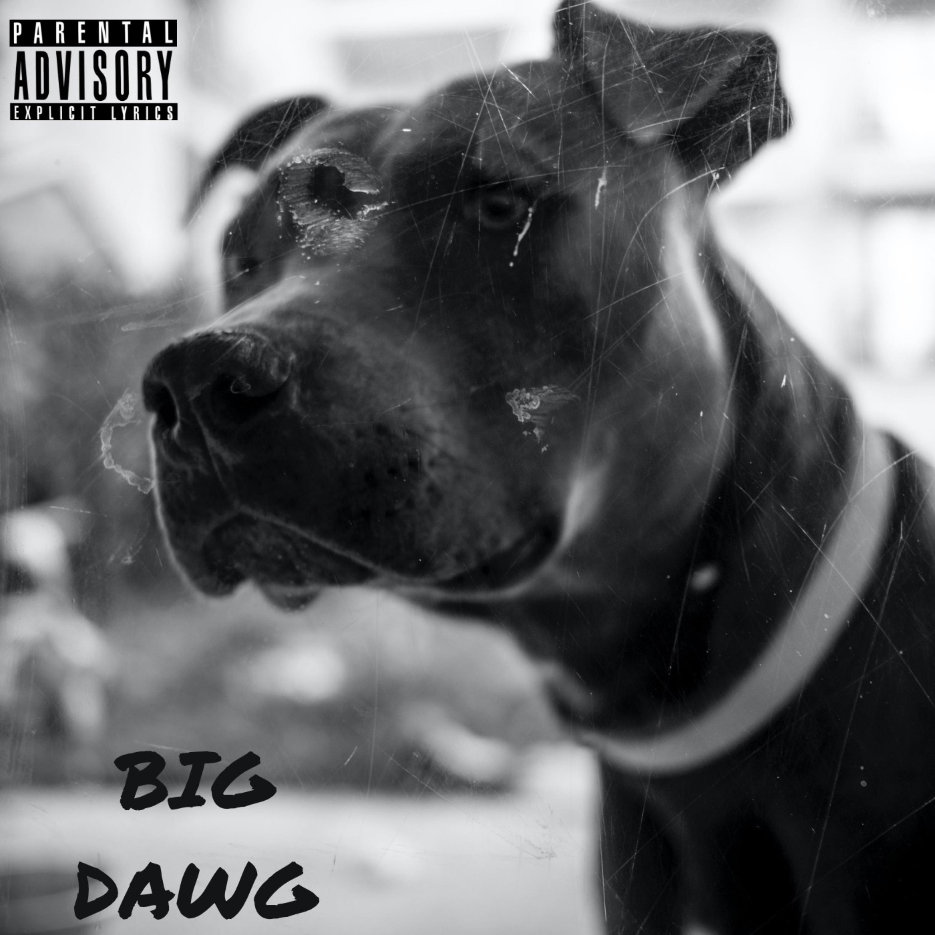 Big Dawg artwork