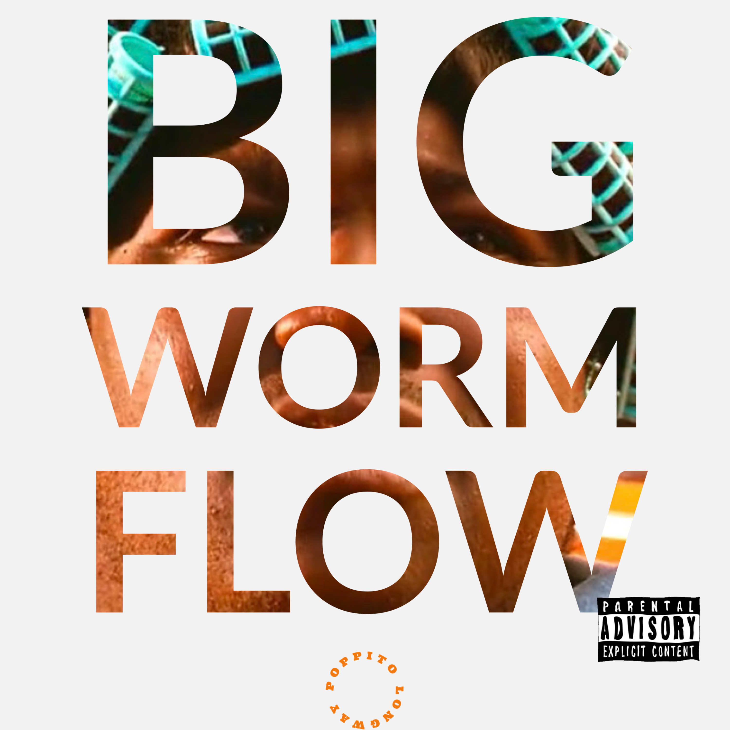 Big Worm Flow artwork