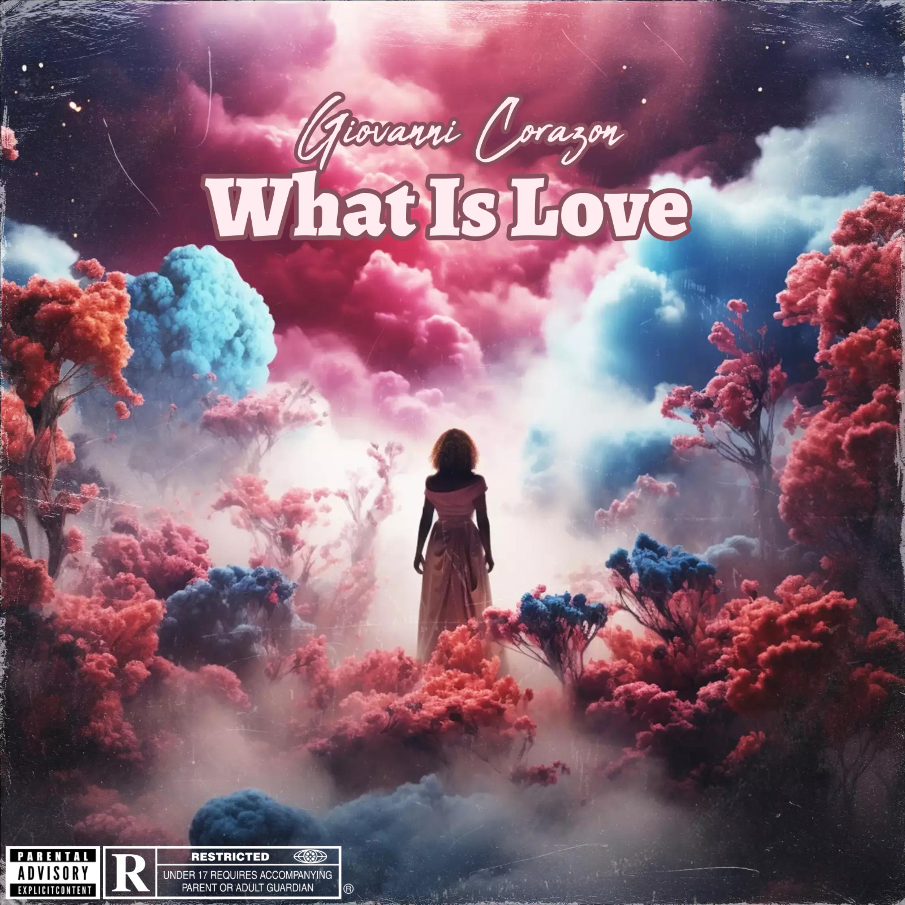 What Is Love artwork