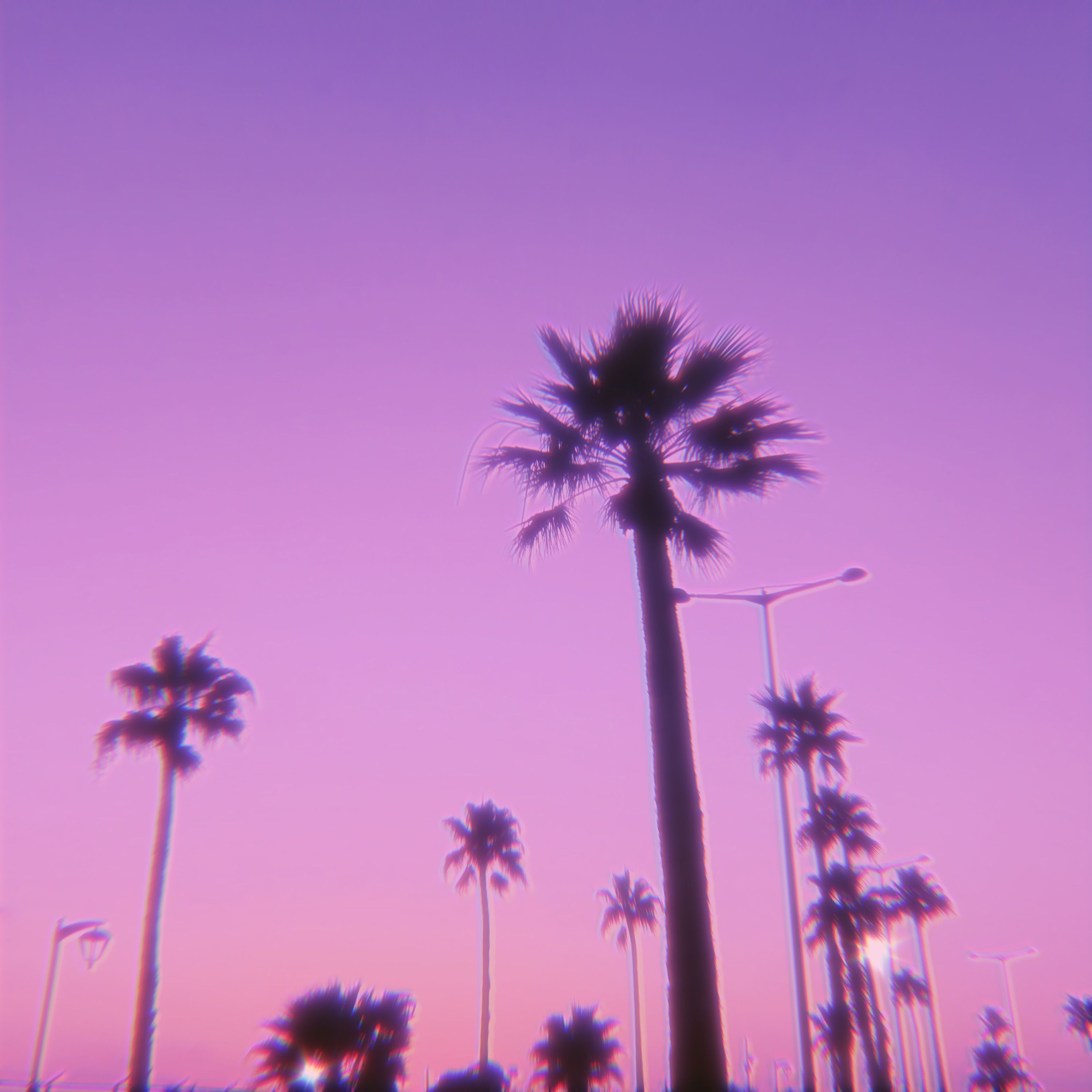 SUMMER artwork