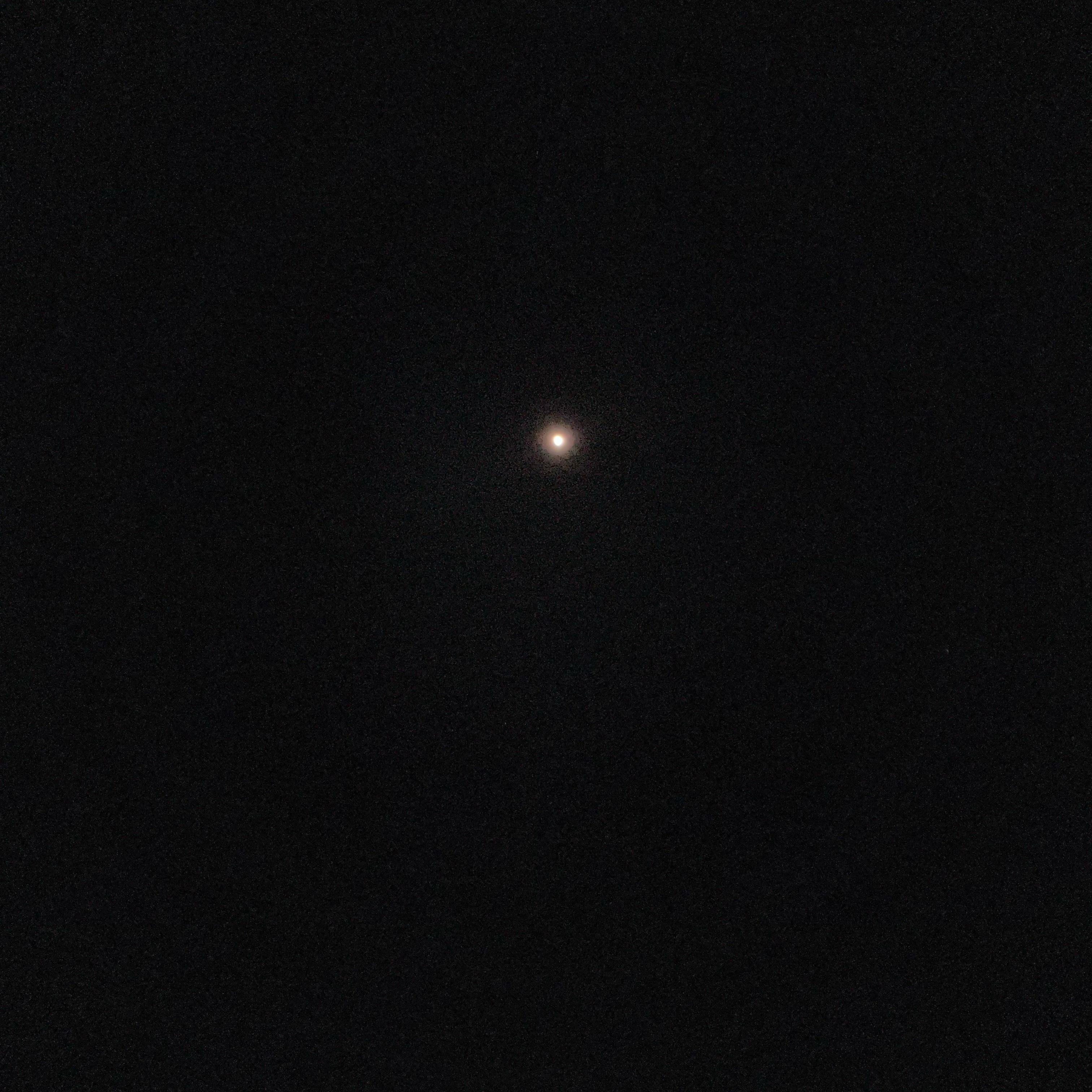 *whereyomanz? artwork