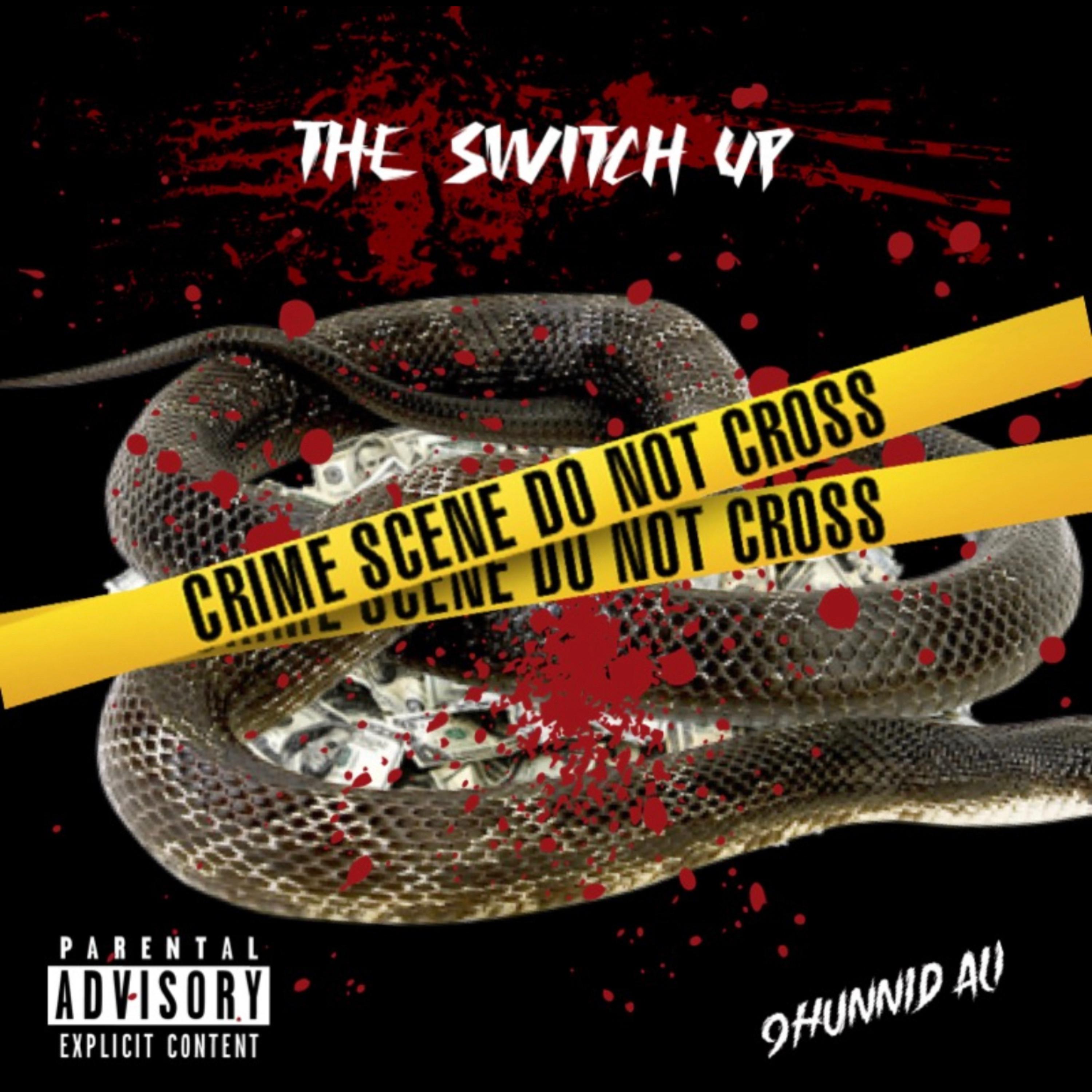 The Switch Up by 9Hunnid Ali  cover art