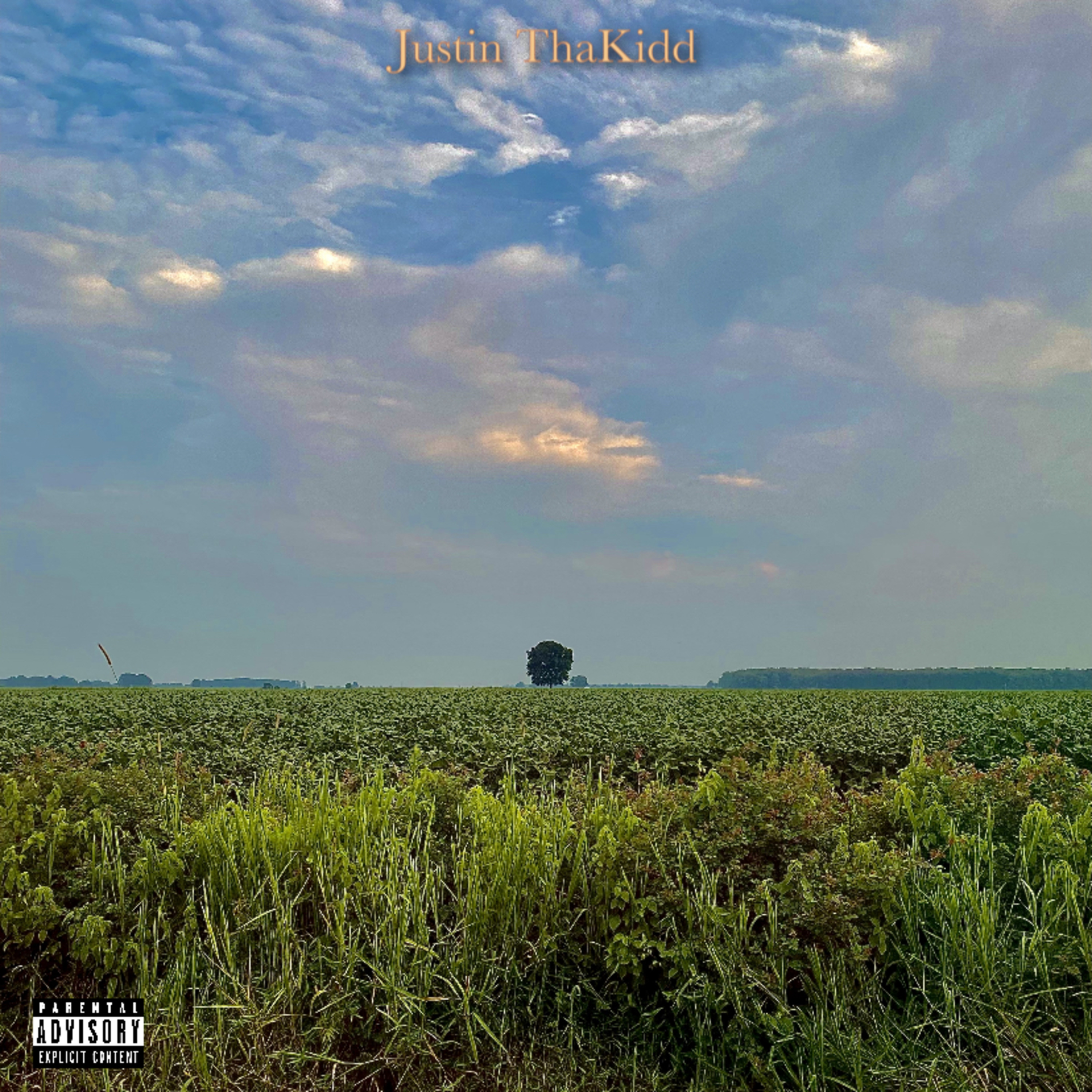 Diary of A Lonely Kidd artwork
