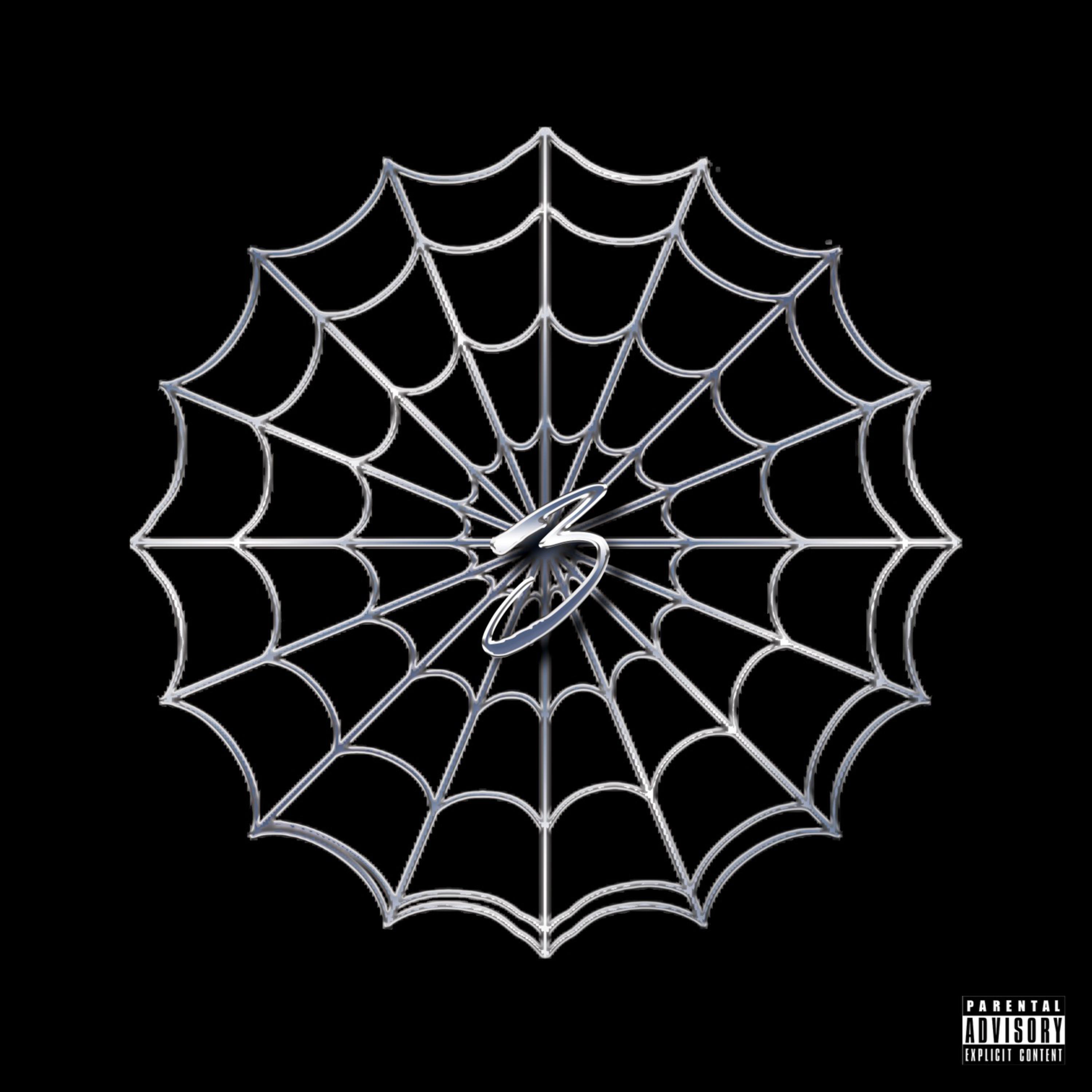 Caught In The Web artwork