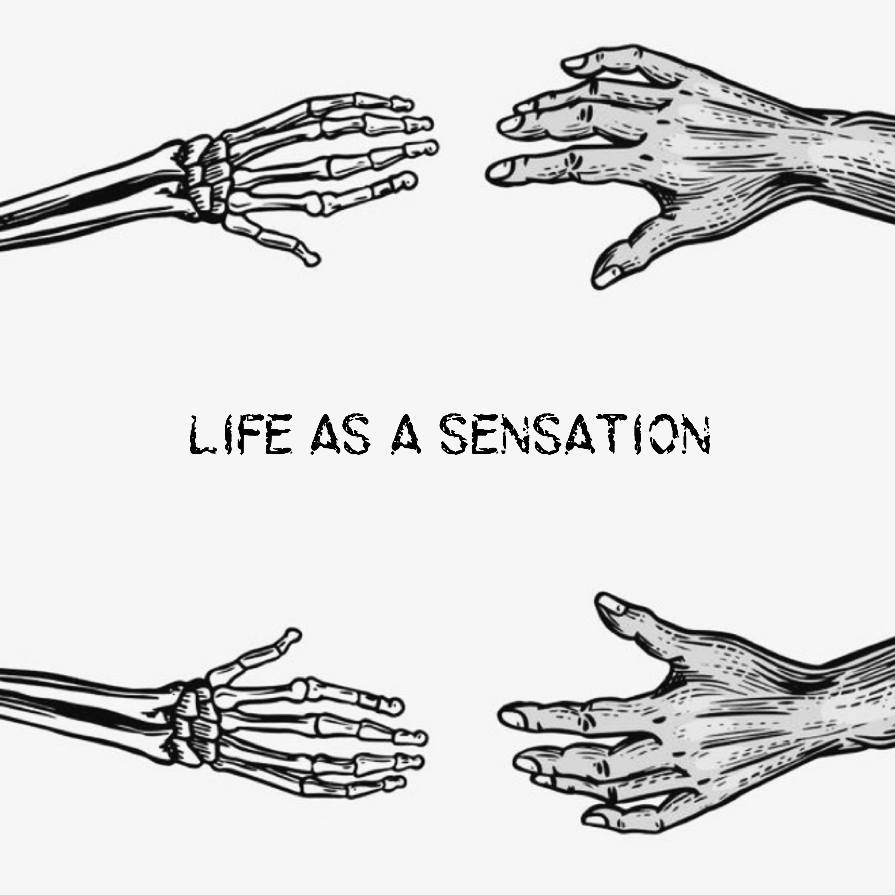 LIFE AS A SENSATION artwork