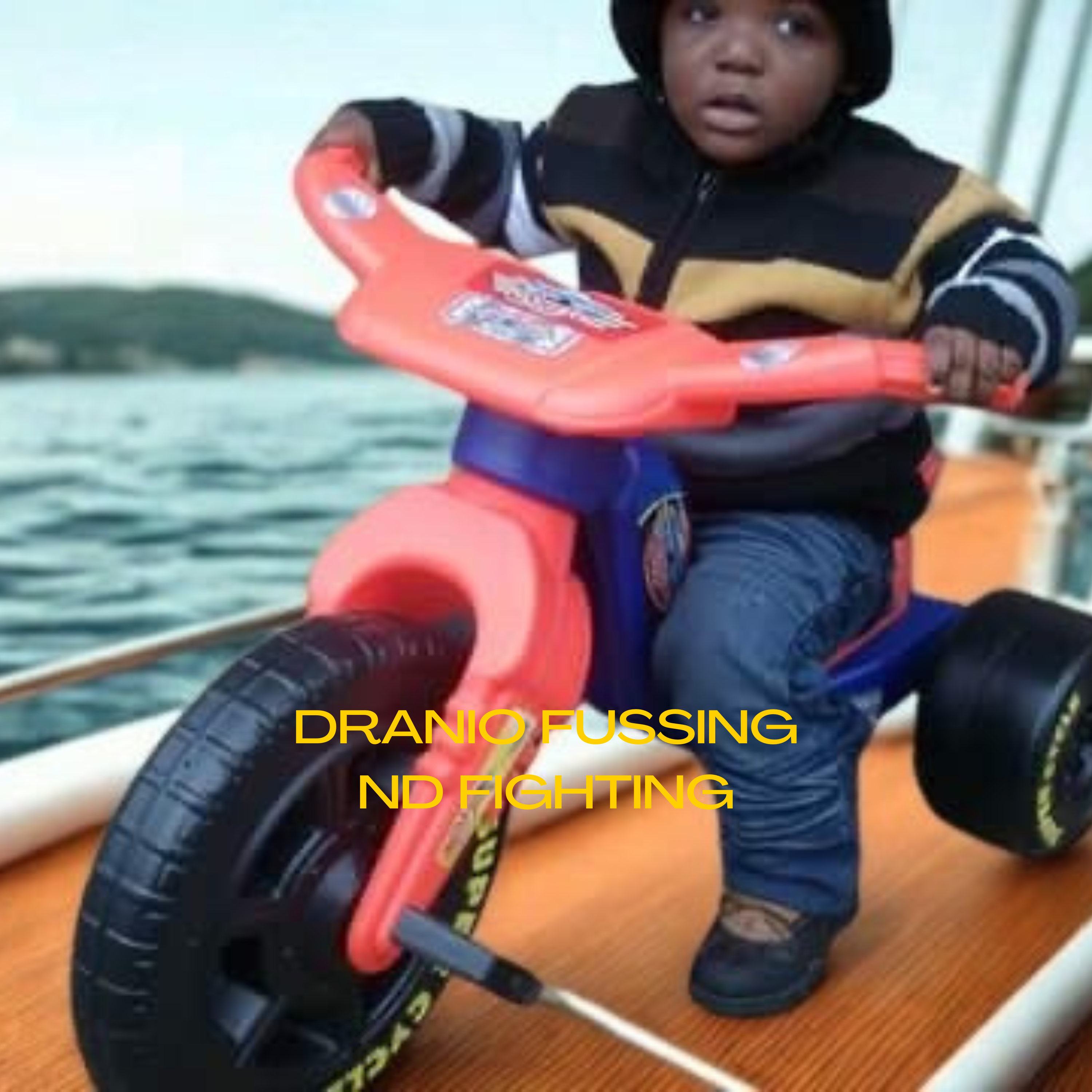 Fussing Nd Fighting by Dranio cover art