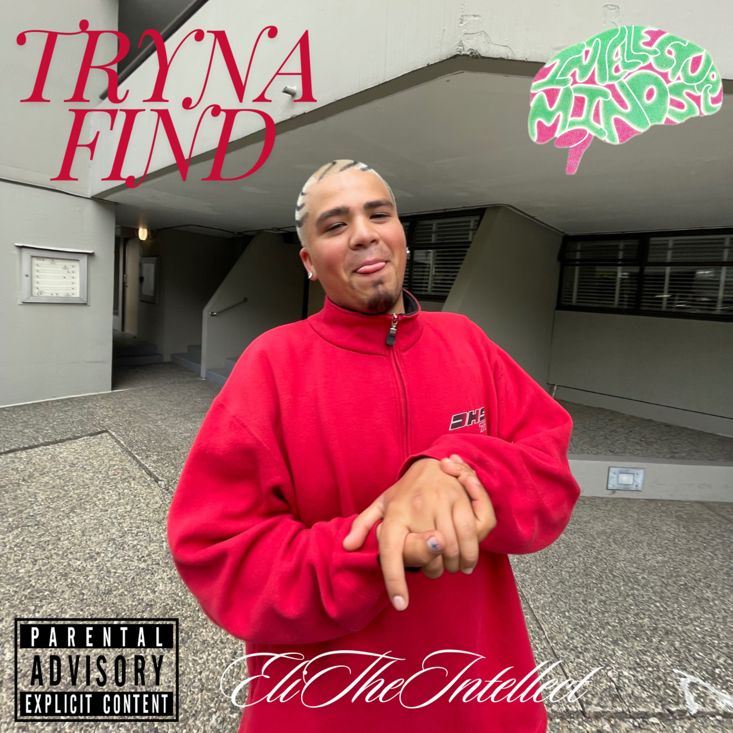 Tryna Find artwork