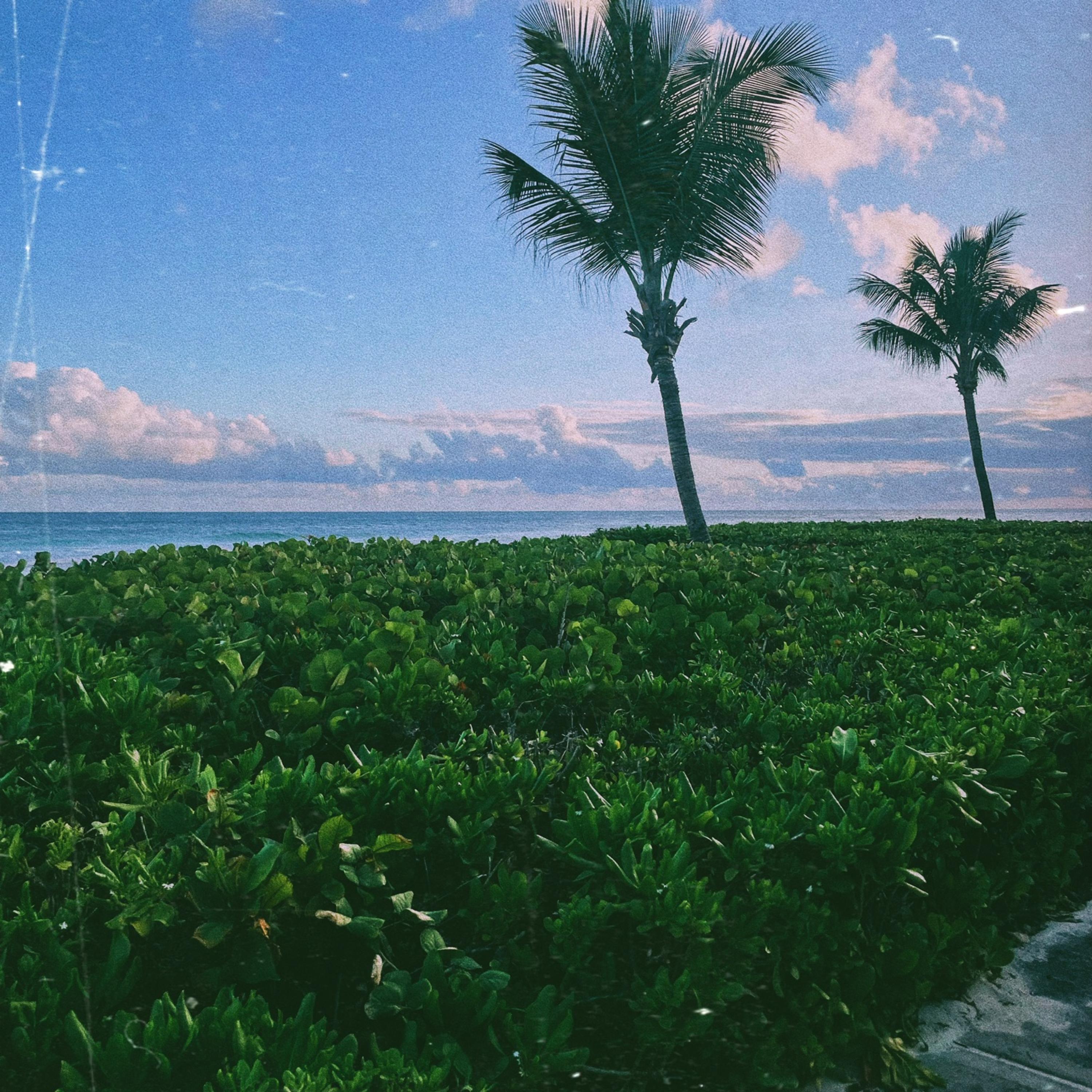 •HIDEAWAY• artwork