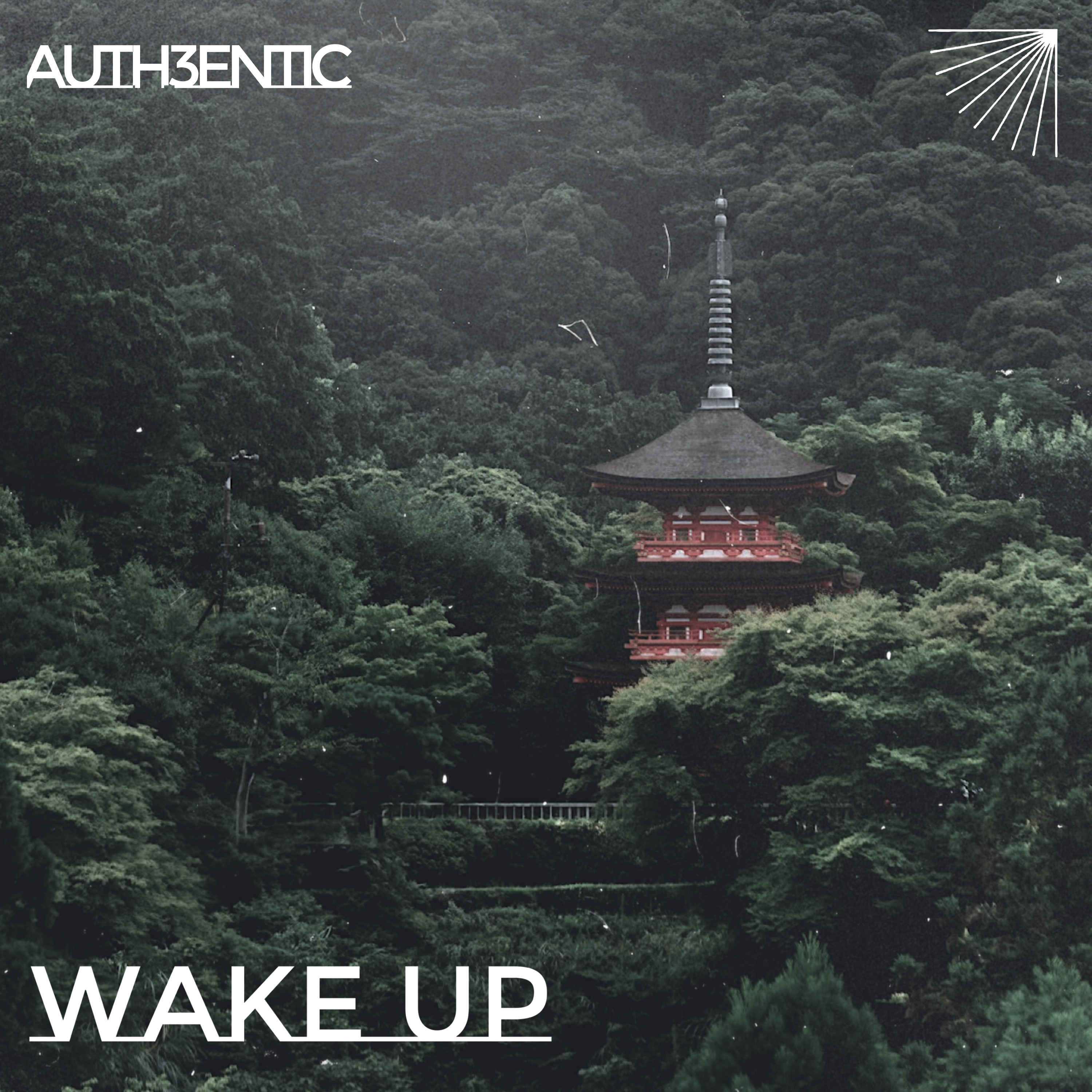 Wake Up artwork