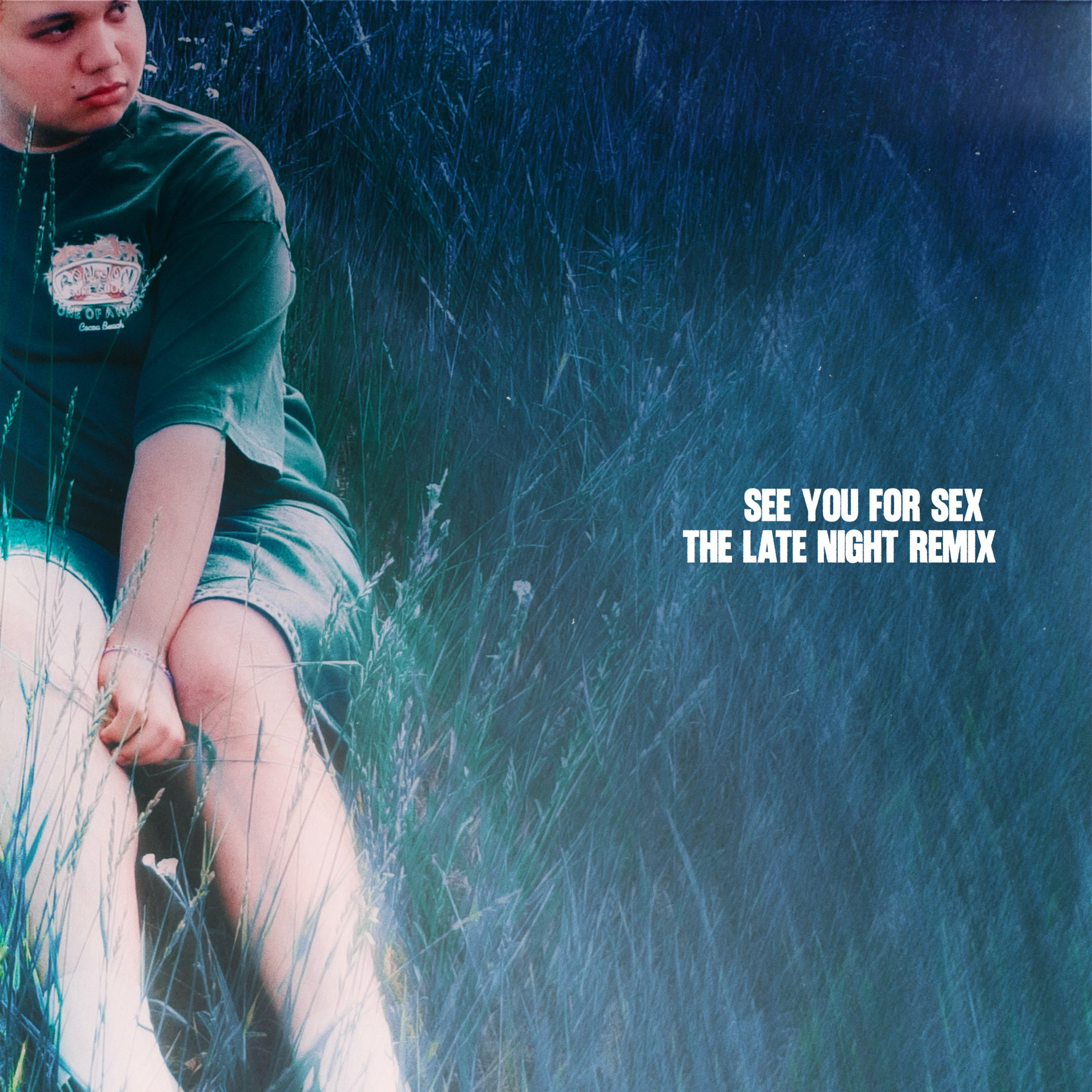 see you for sex (Late Night Remix) artwork