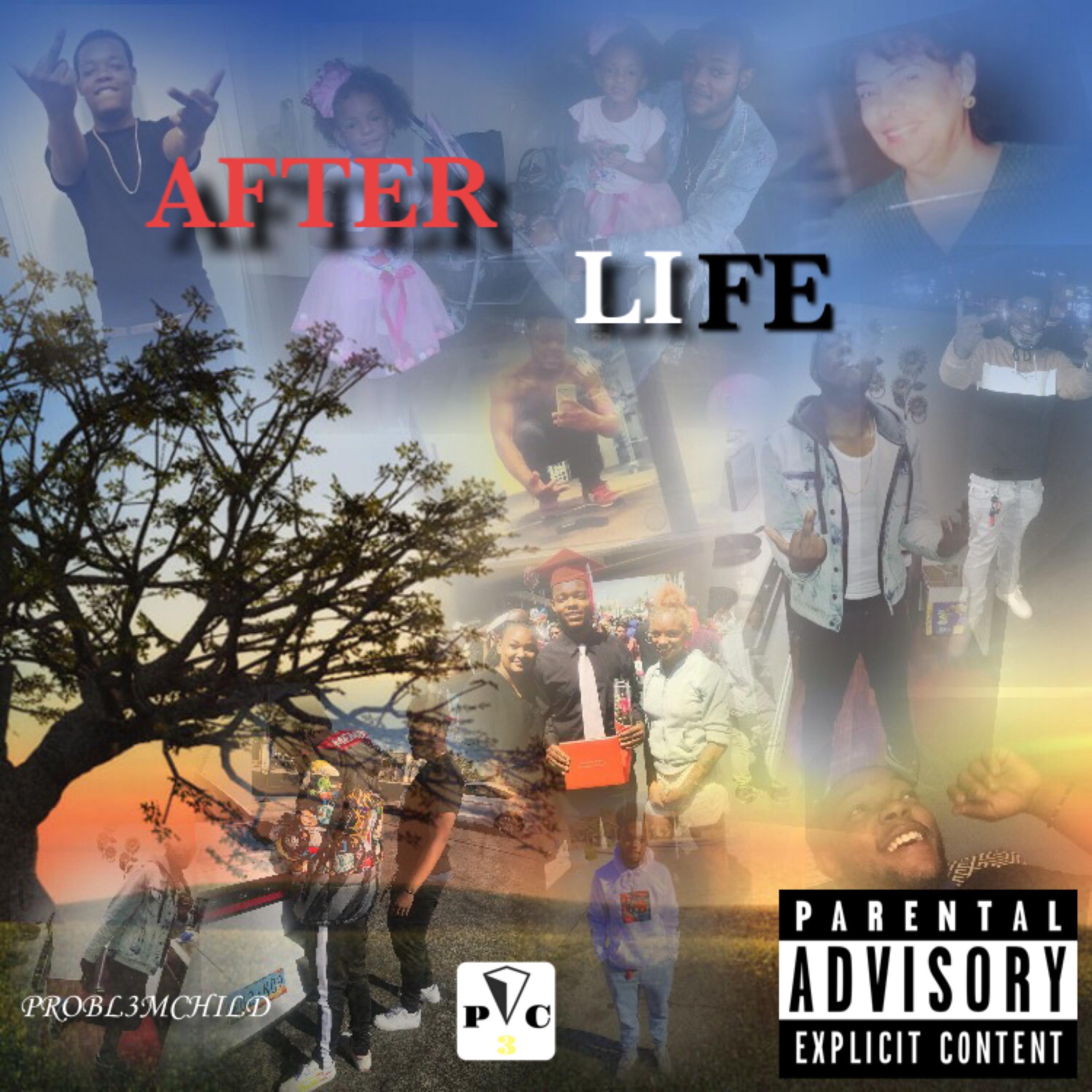 After Life artwork
