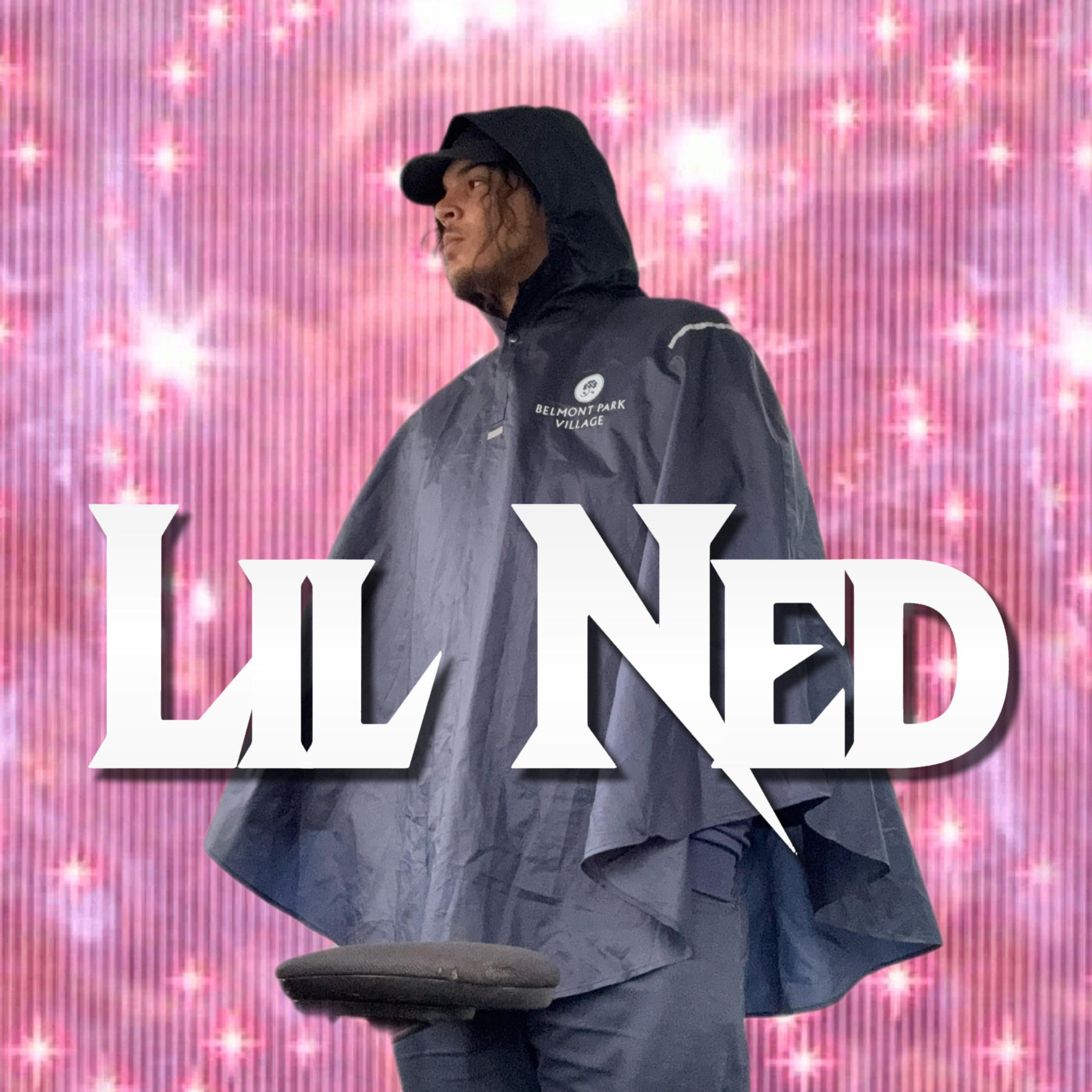Everything That I Need To Do by Lil Ned cover art