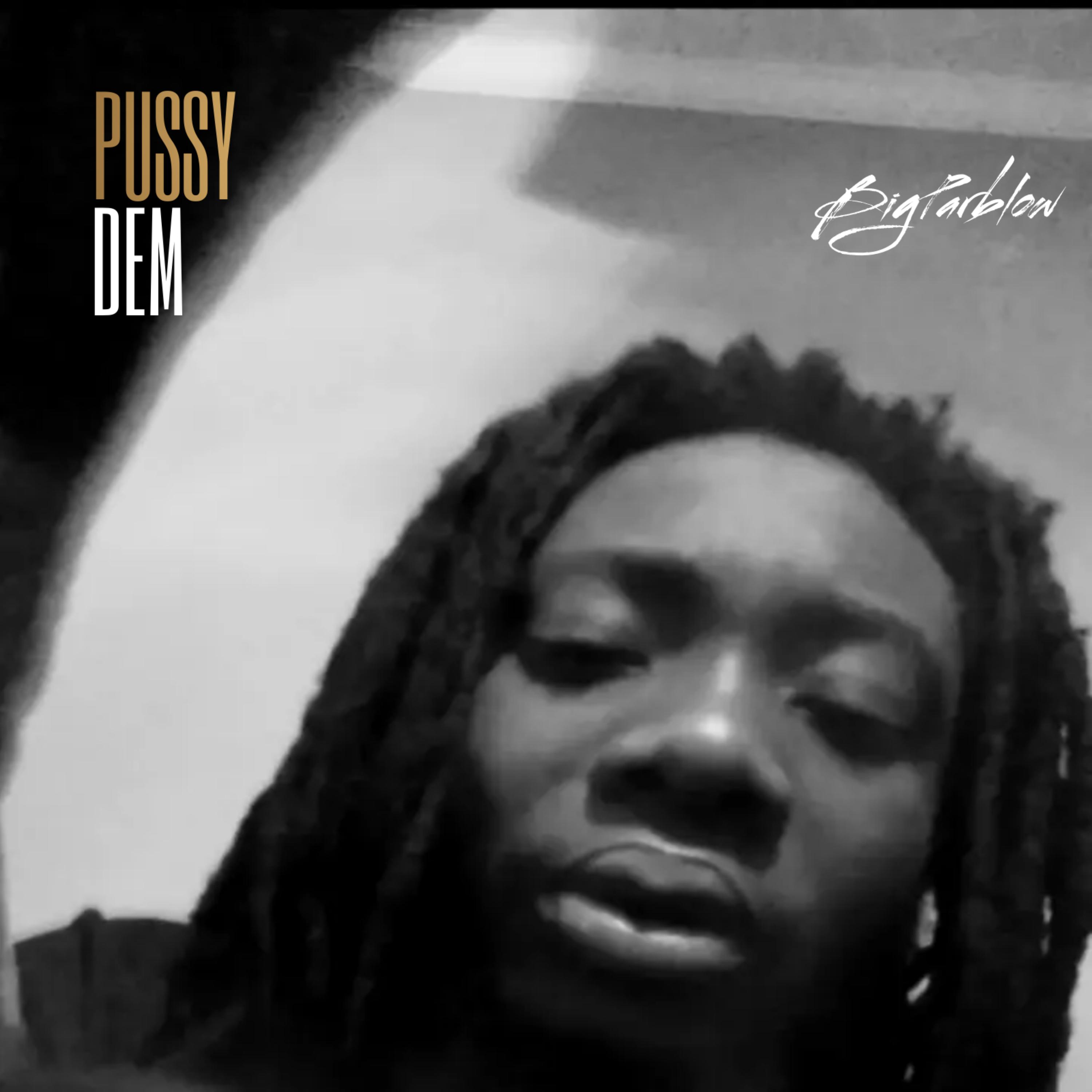 Pussy Dem artwork