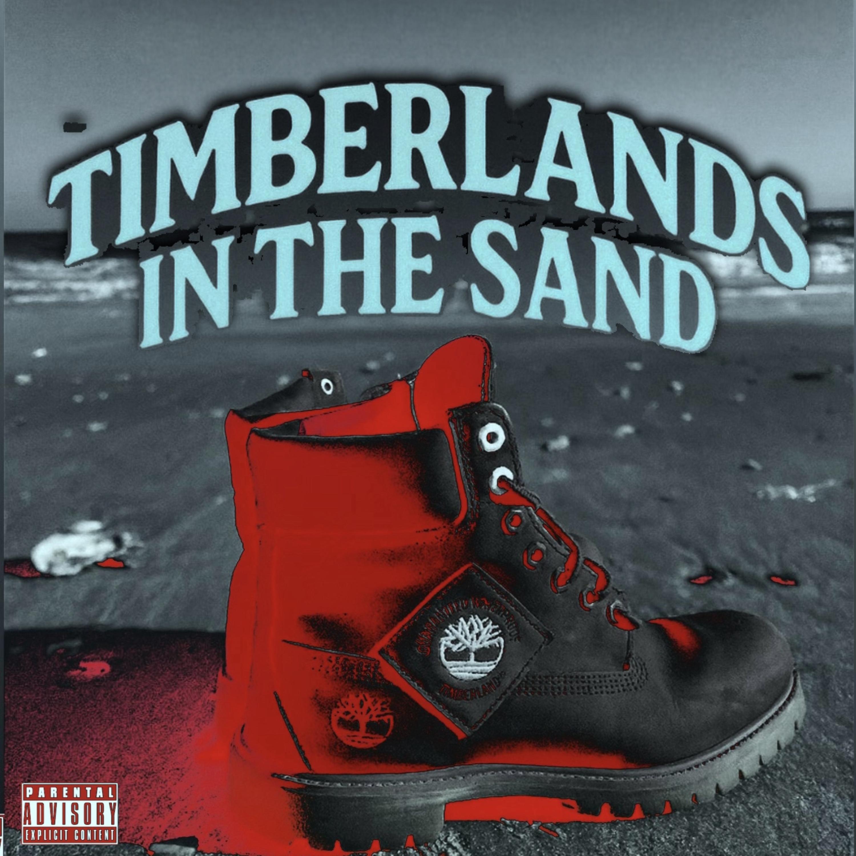 TIMBERLANDS IN THE SAND by Wildeast cover art