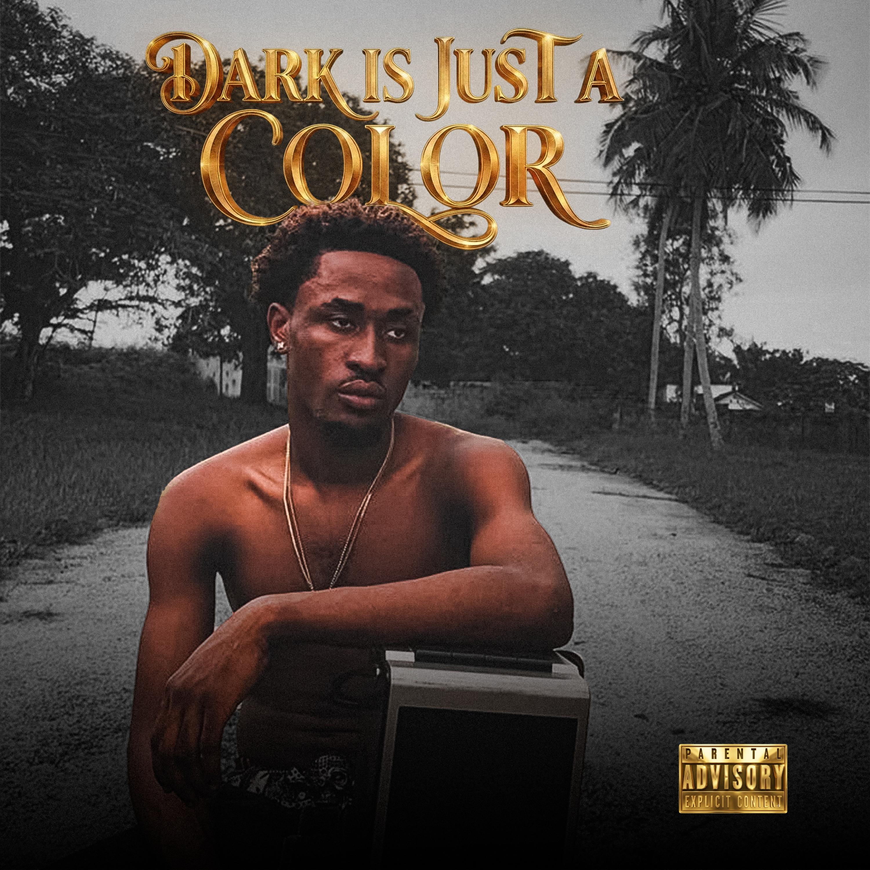 Dark Is Just A Color by Big Pearse cover art