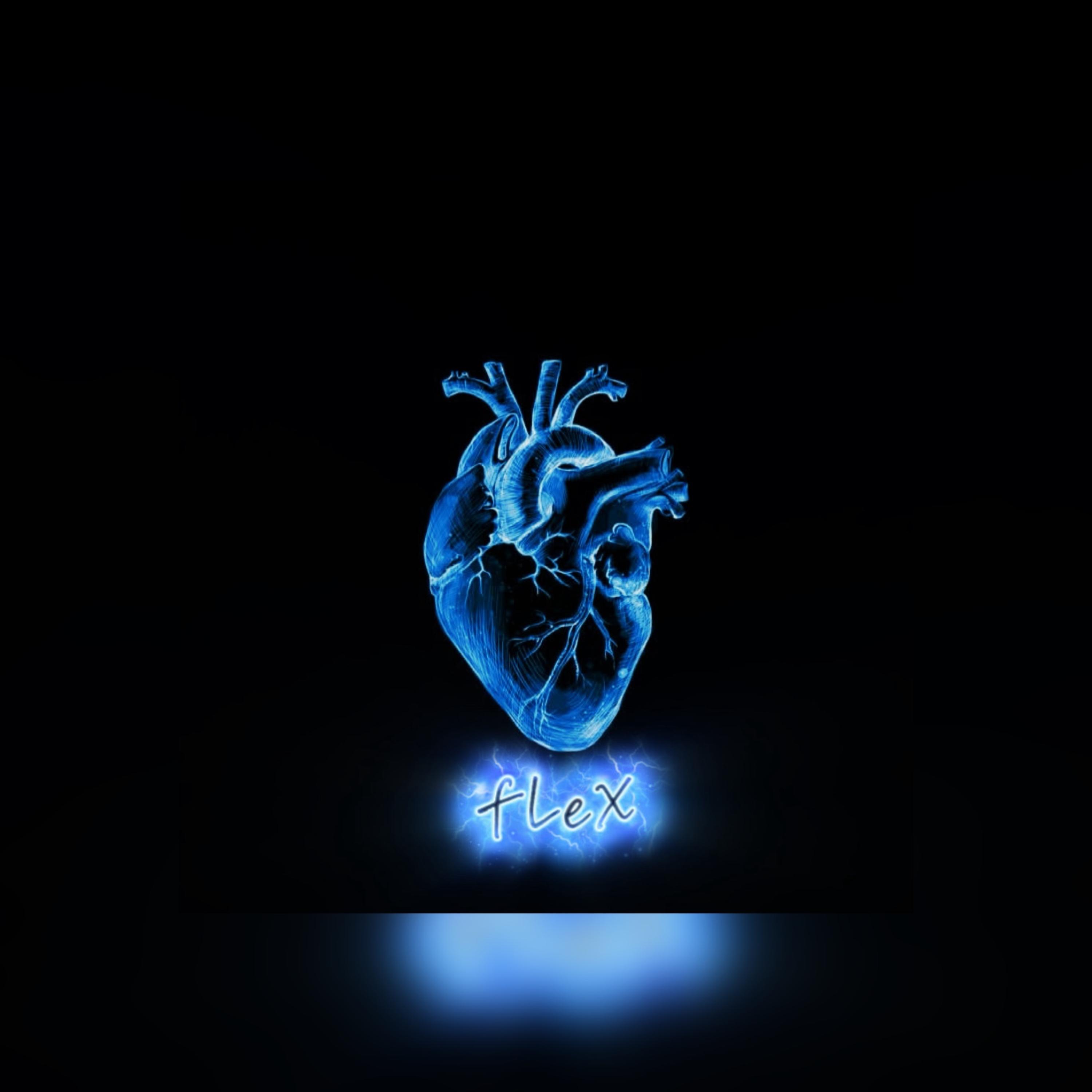 fLeX by JESIELL cover art