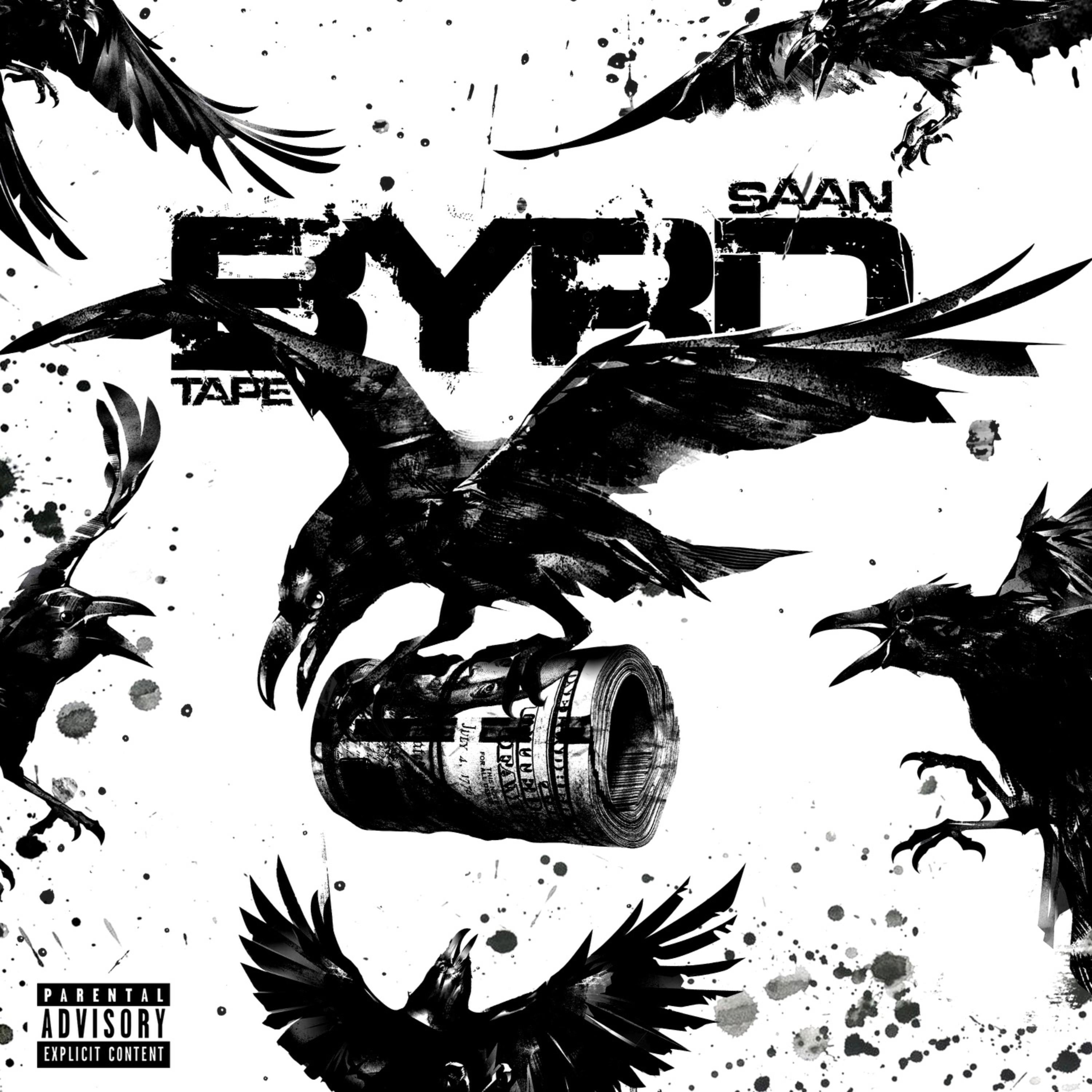 Byrd Tape by SaanByrd cover art