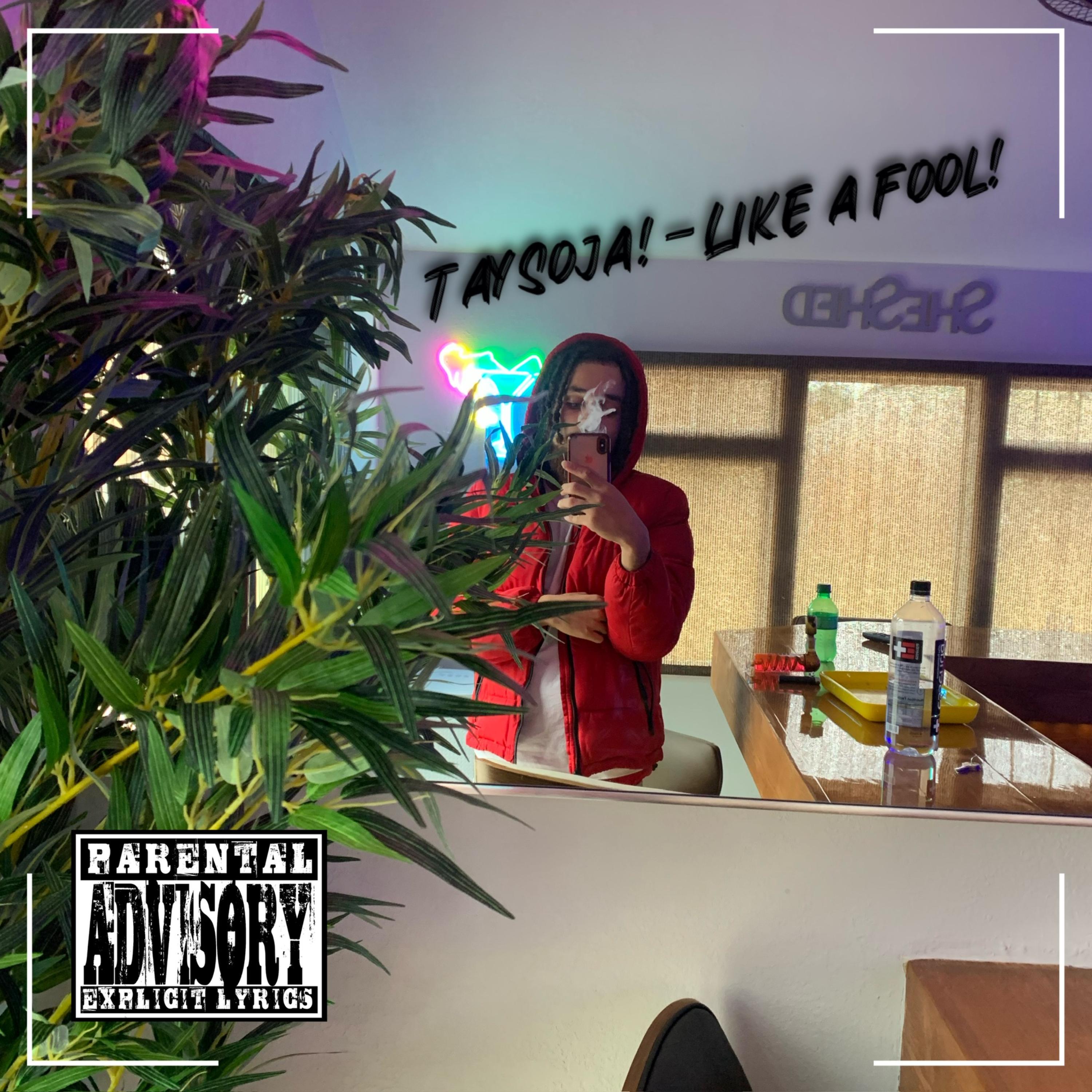 Like A Fool! artwork