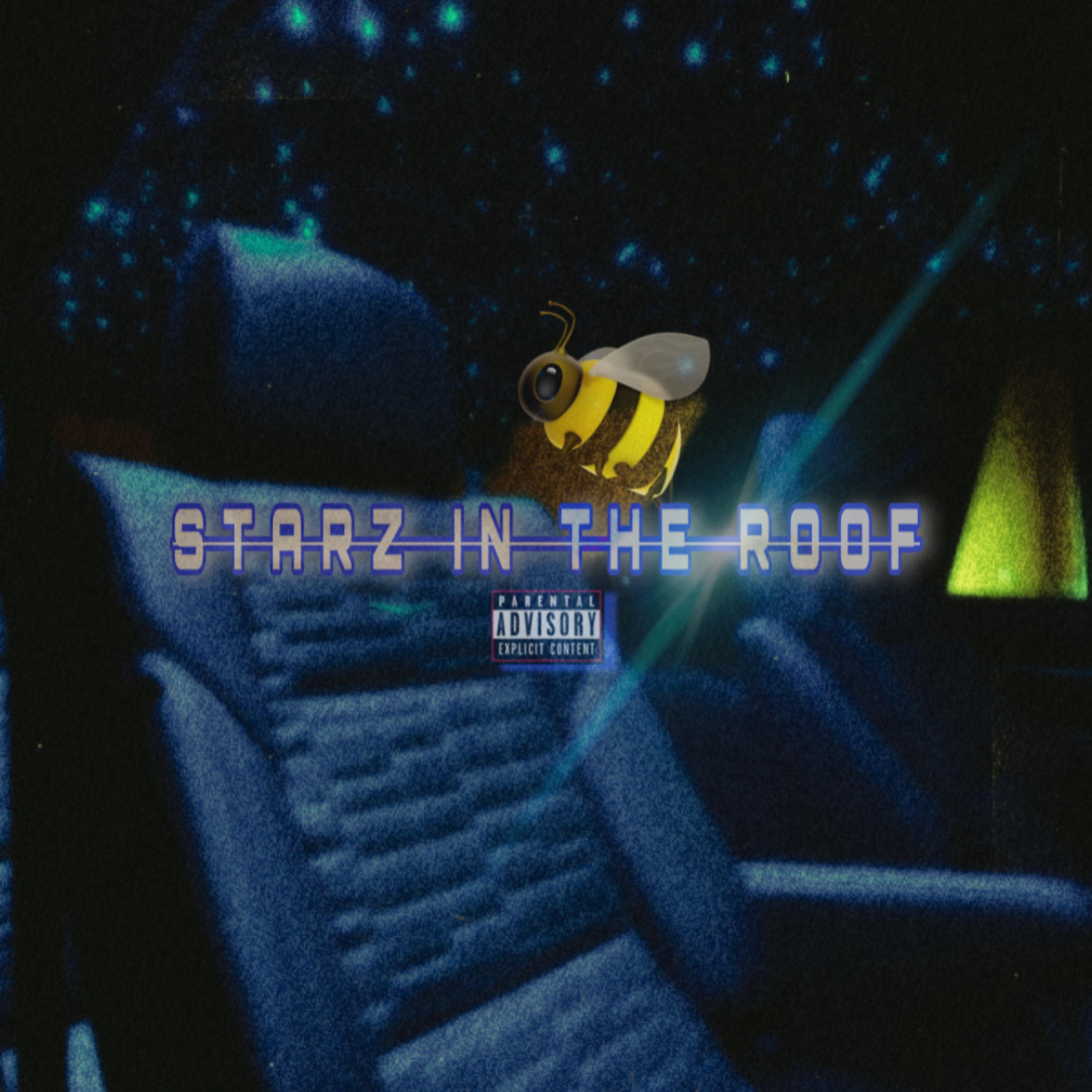 Starz In The Roof artwork