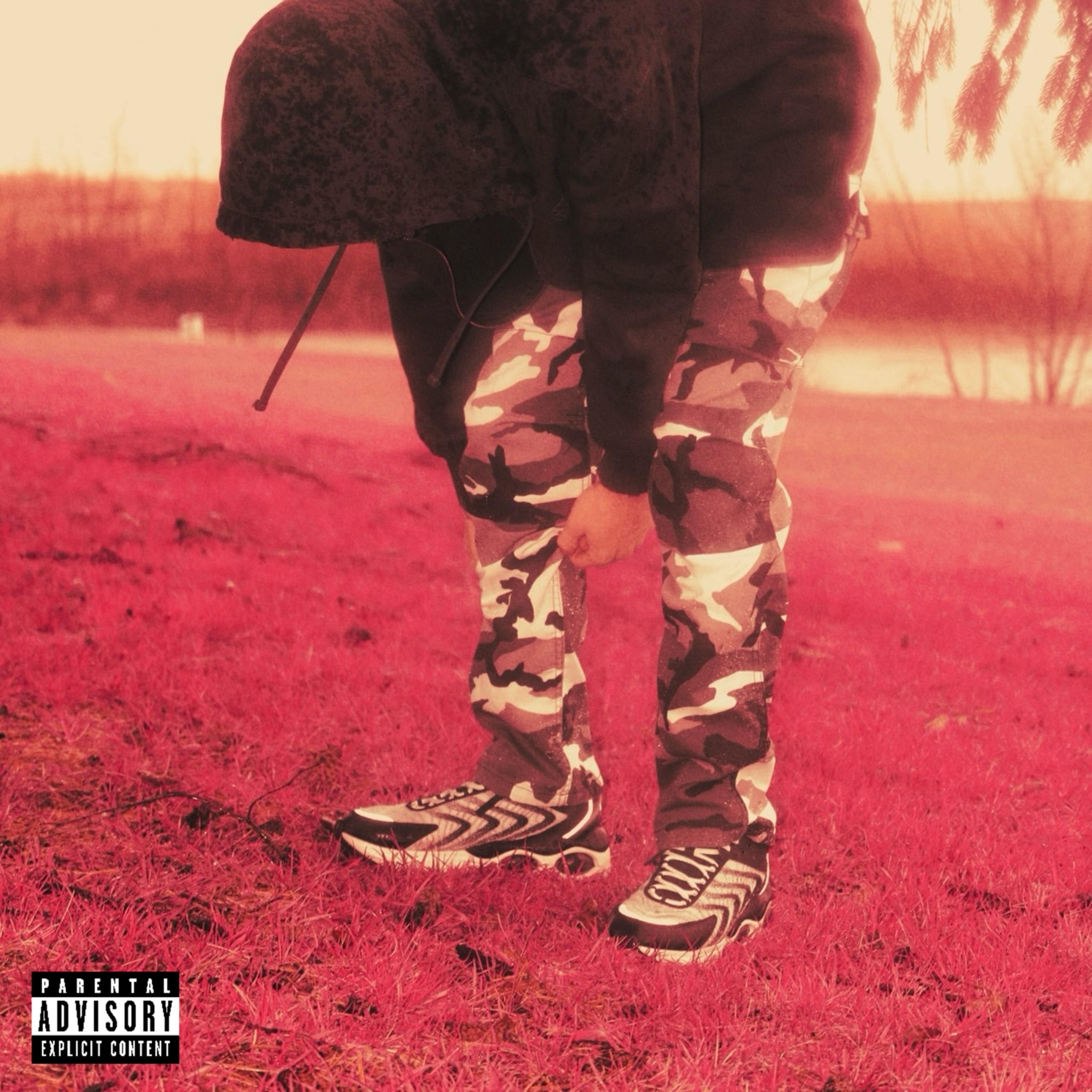 The Storm Has Arrived artwork