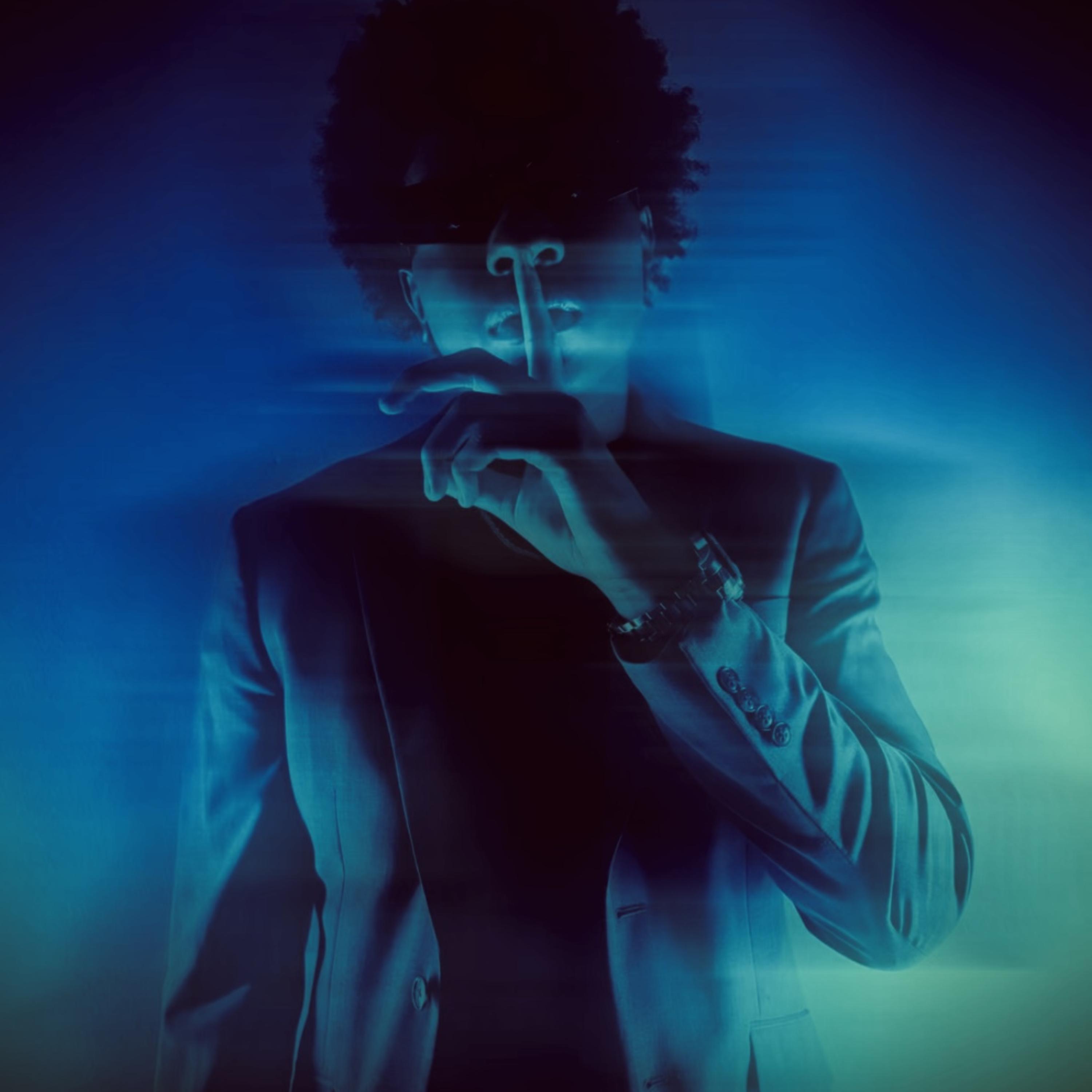 STFU & DANCE artwork