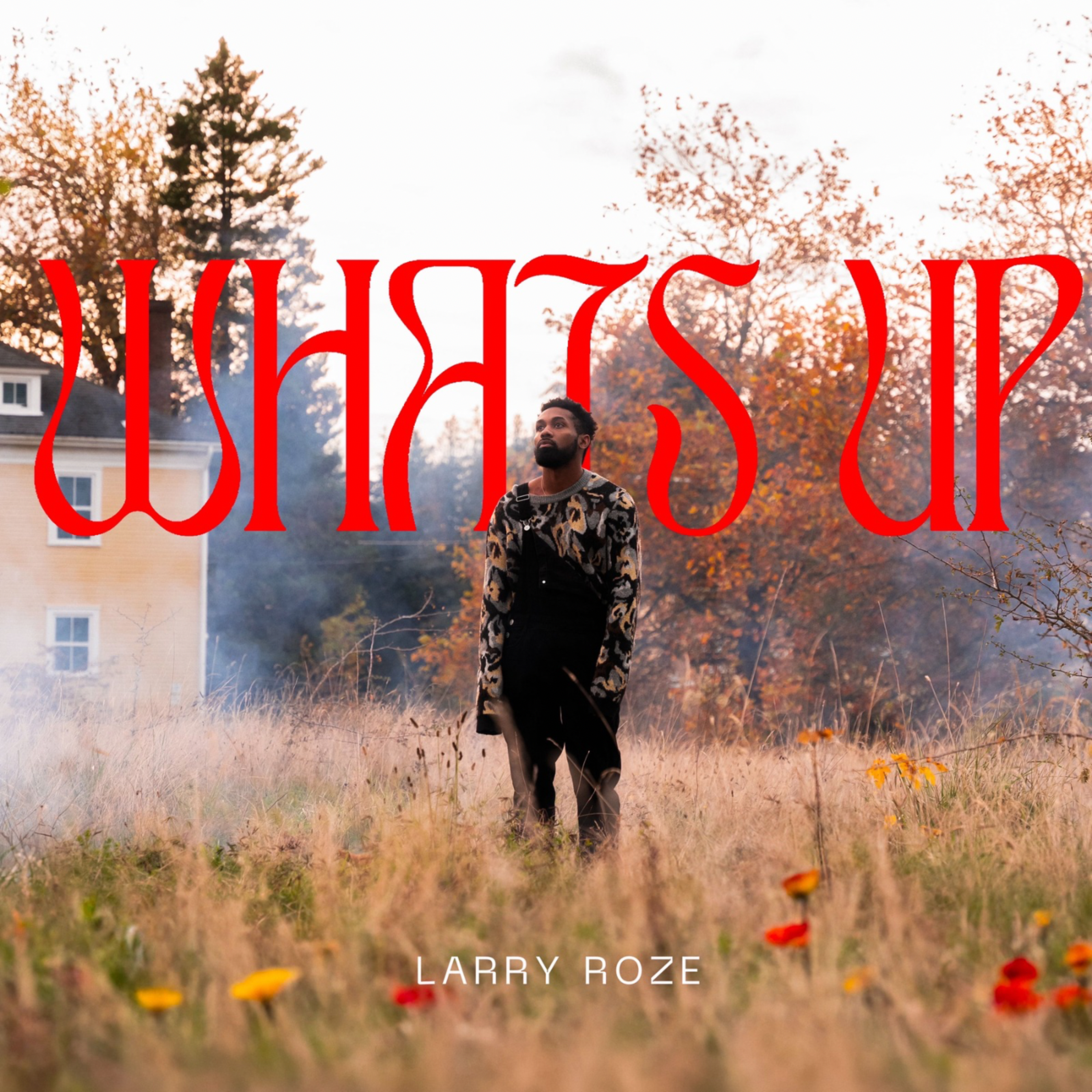 Whats up by Larry Roze cover art
