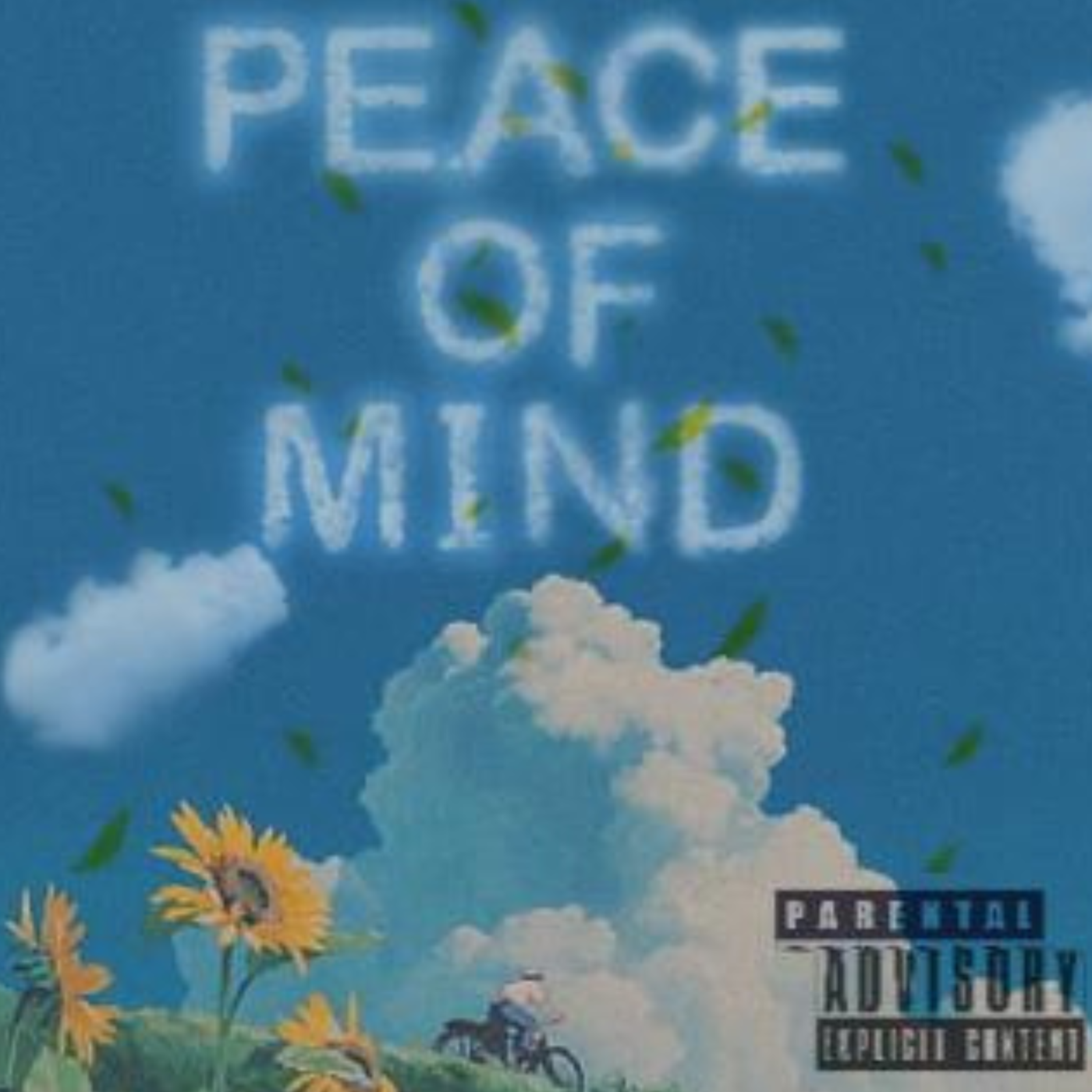 Peace of Mind artwork