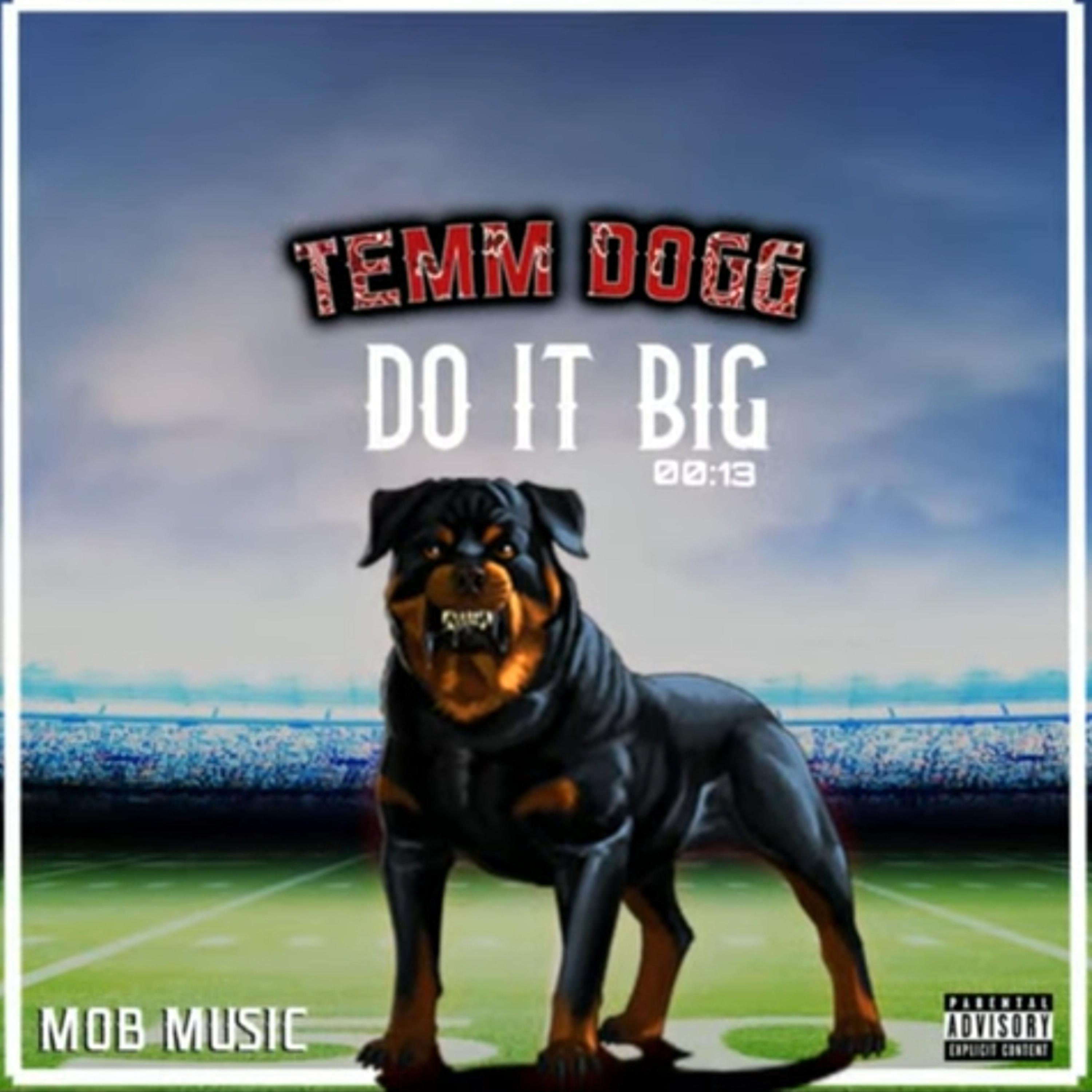 TEMM DOGG DO IT BIG artwork