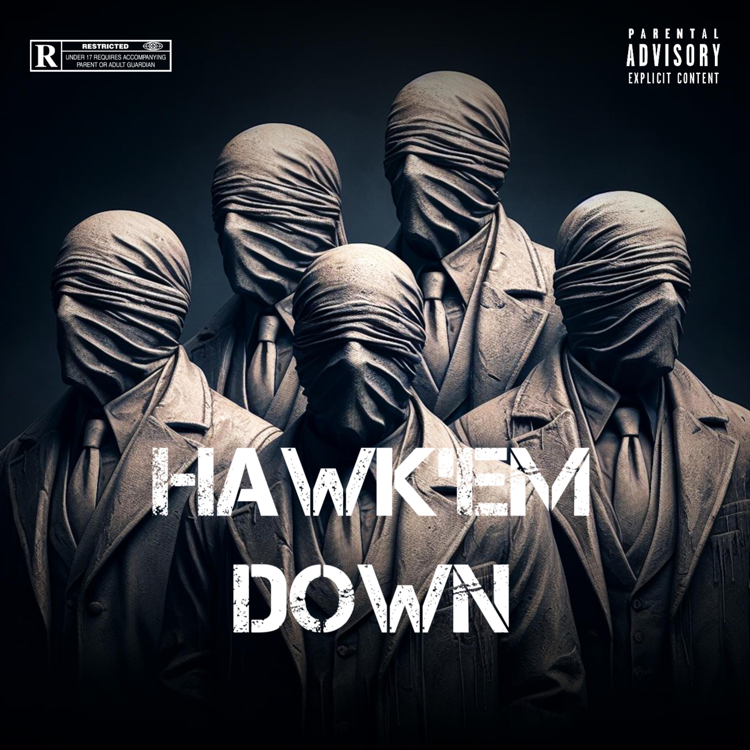 Hawk Em Down artwork