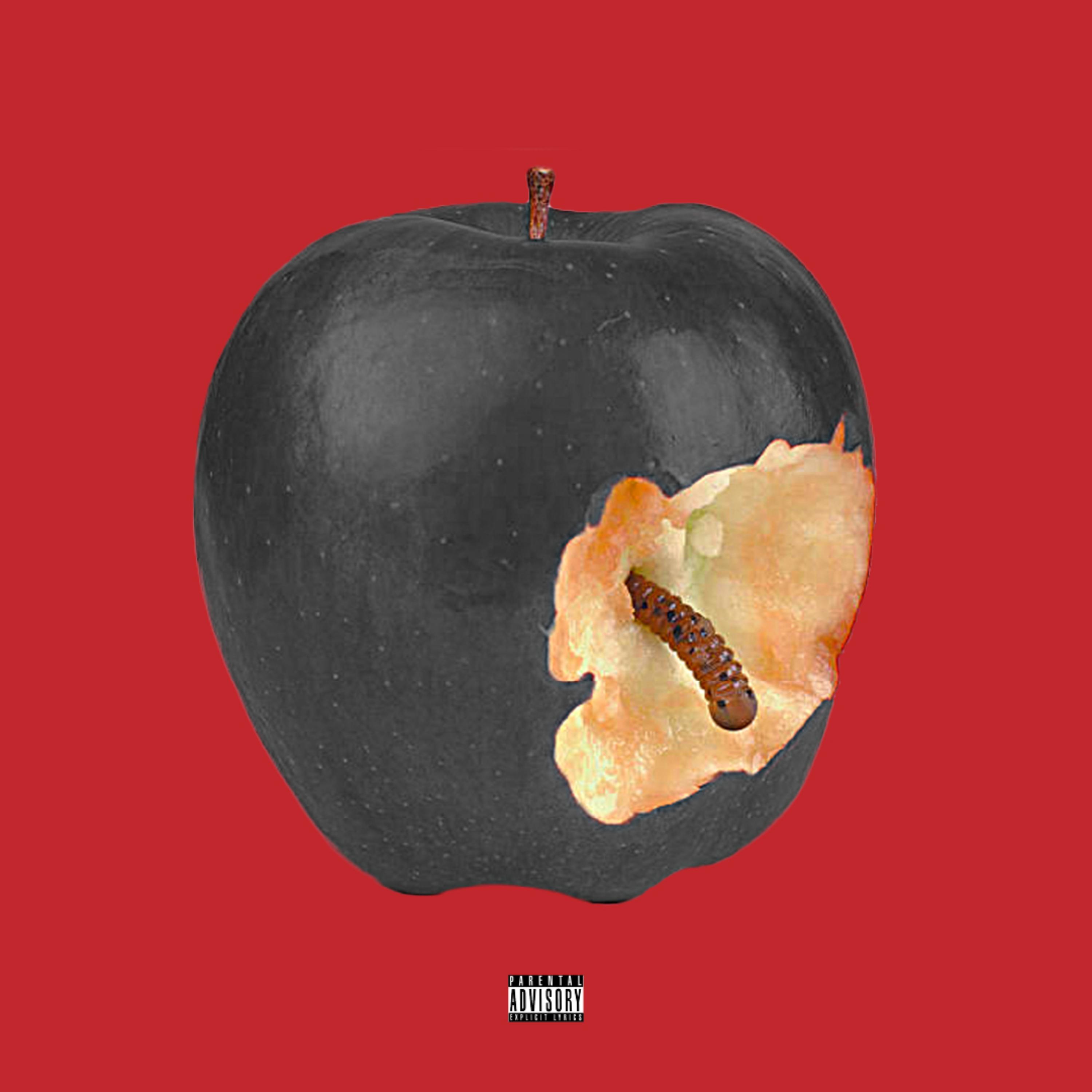 TOOK A BITE artwork