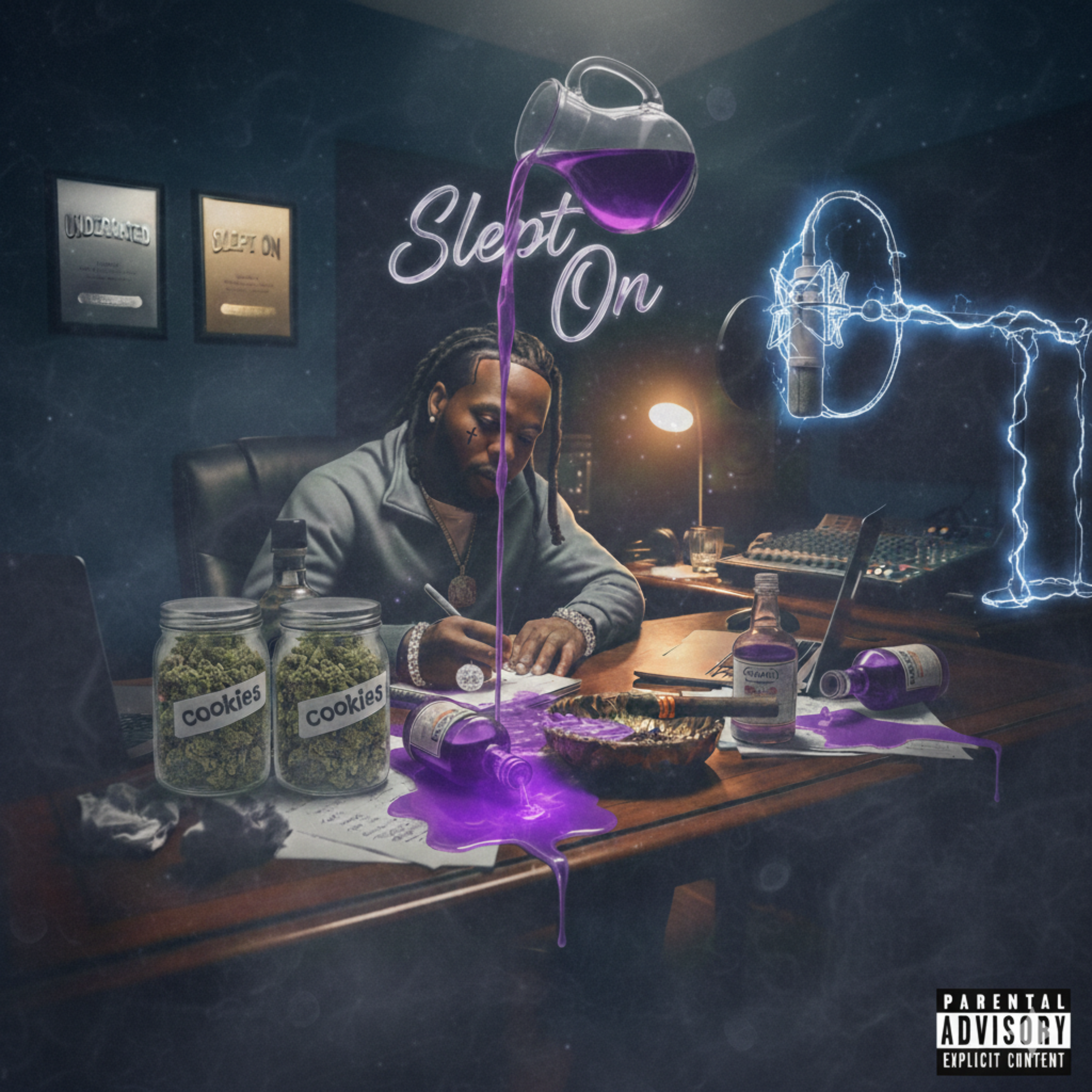 Slept On artwork