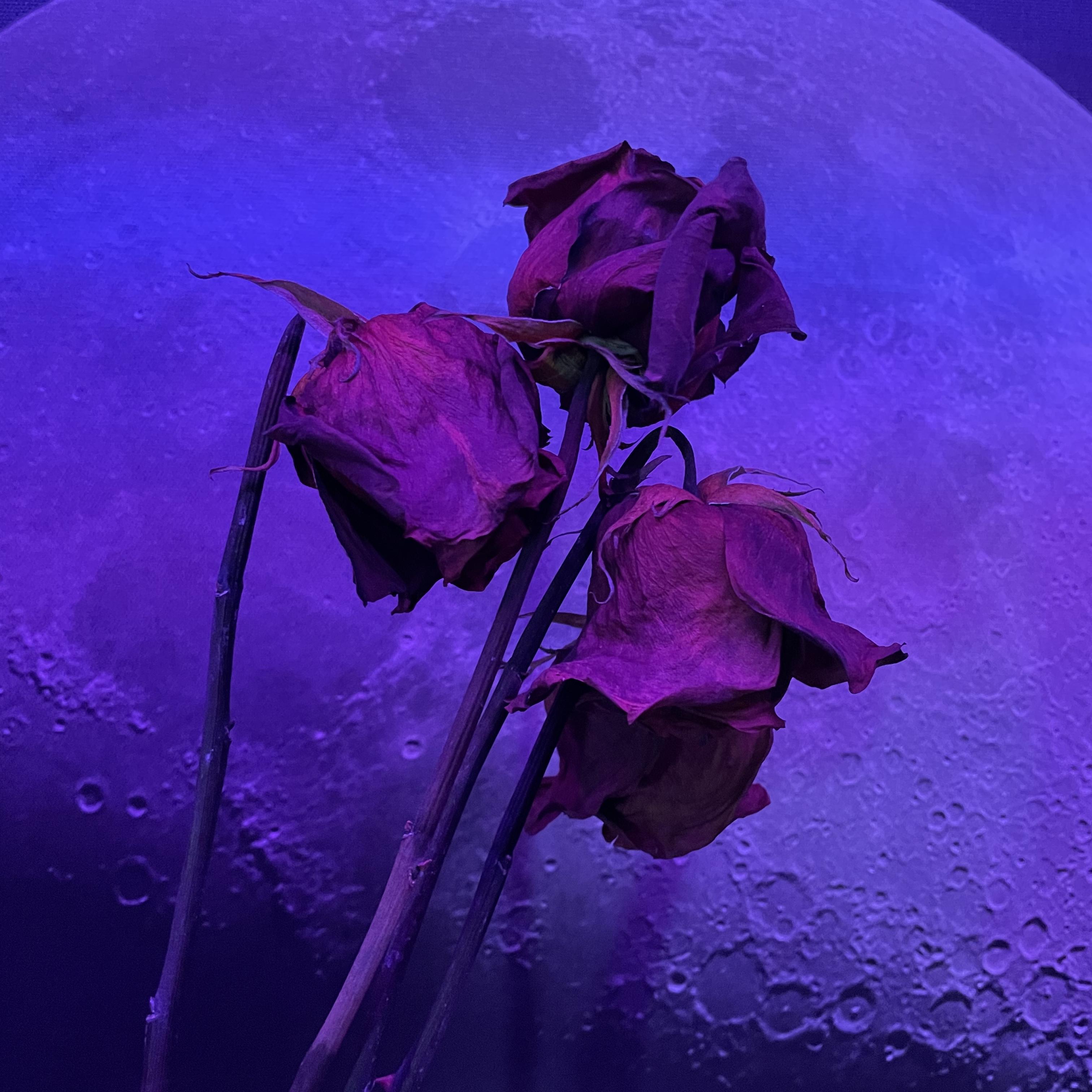 Pickin Petals artwork