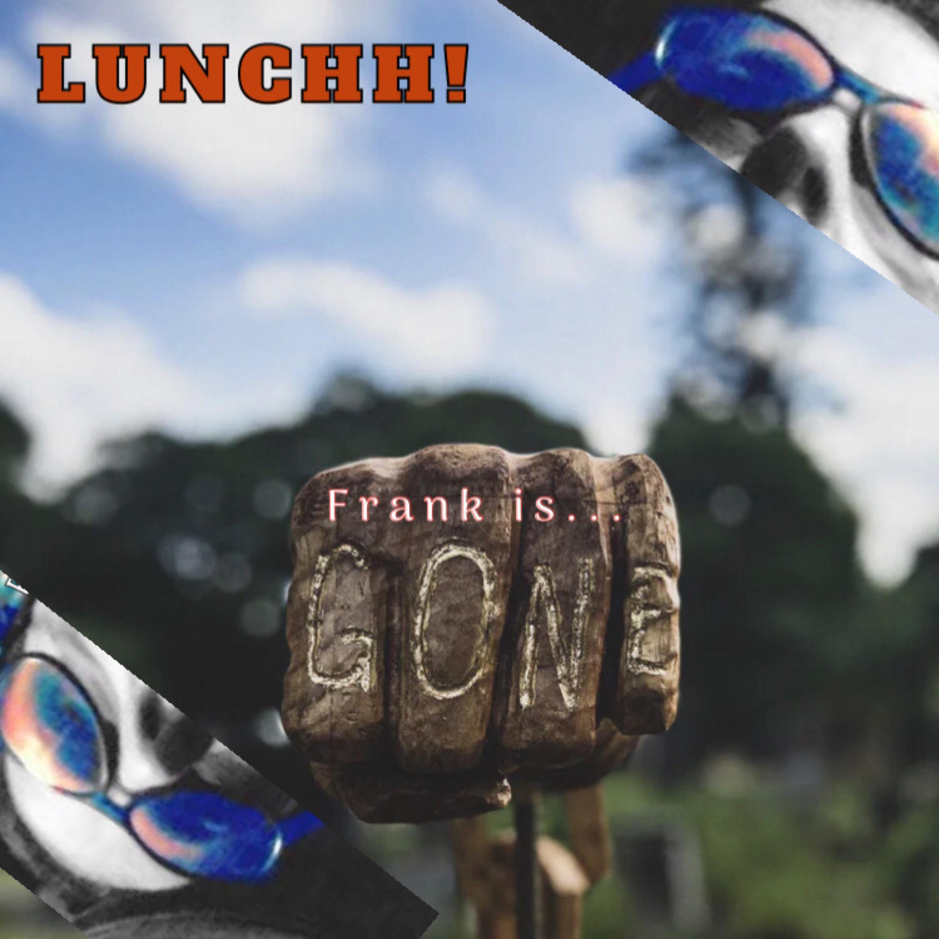 Frank is Gone! artwork
