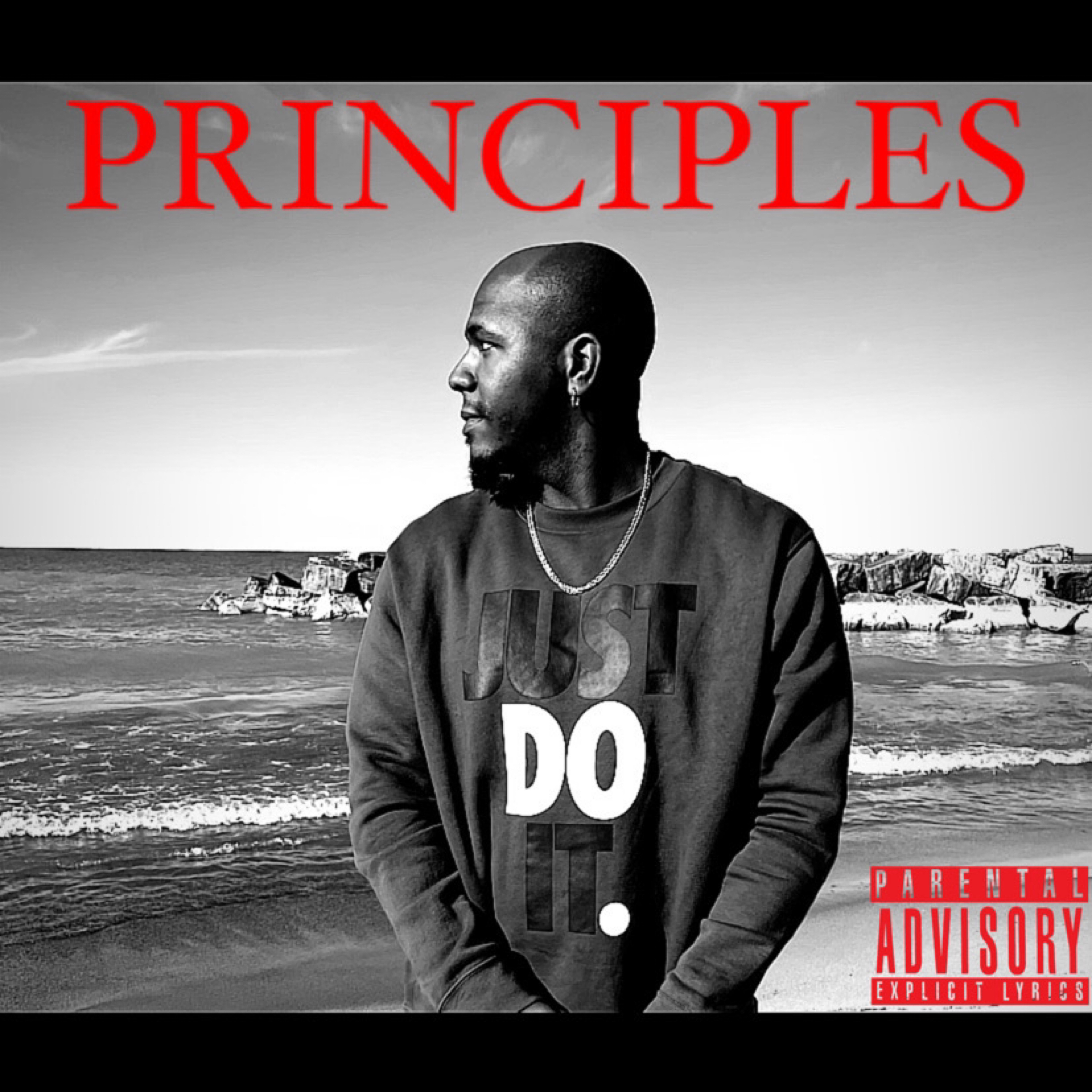 Principles artwork