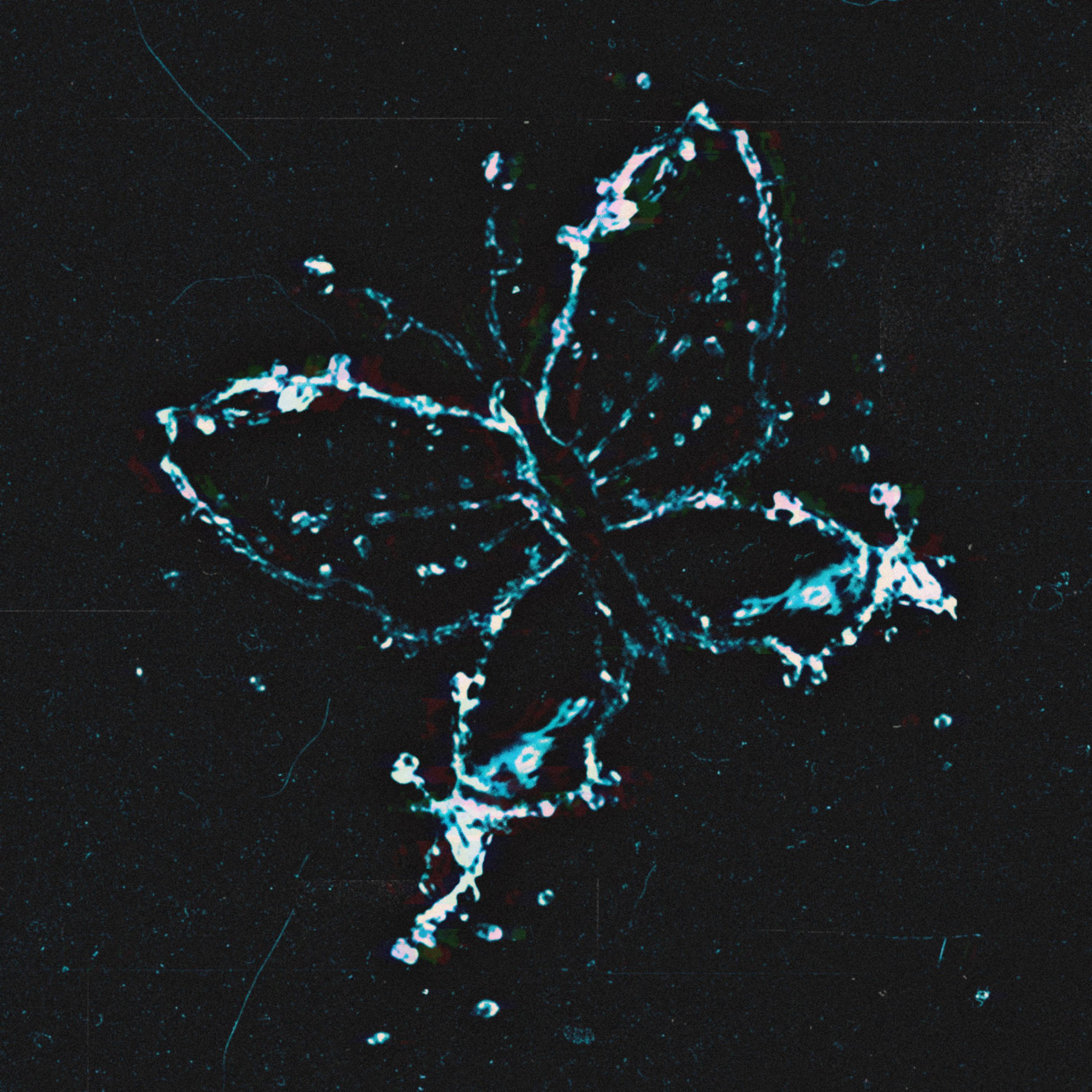 So Alive artwork