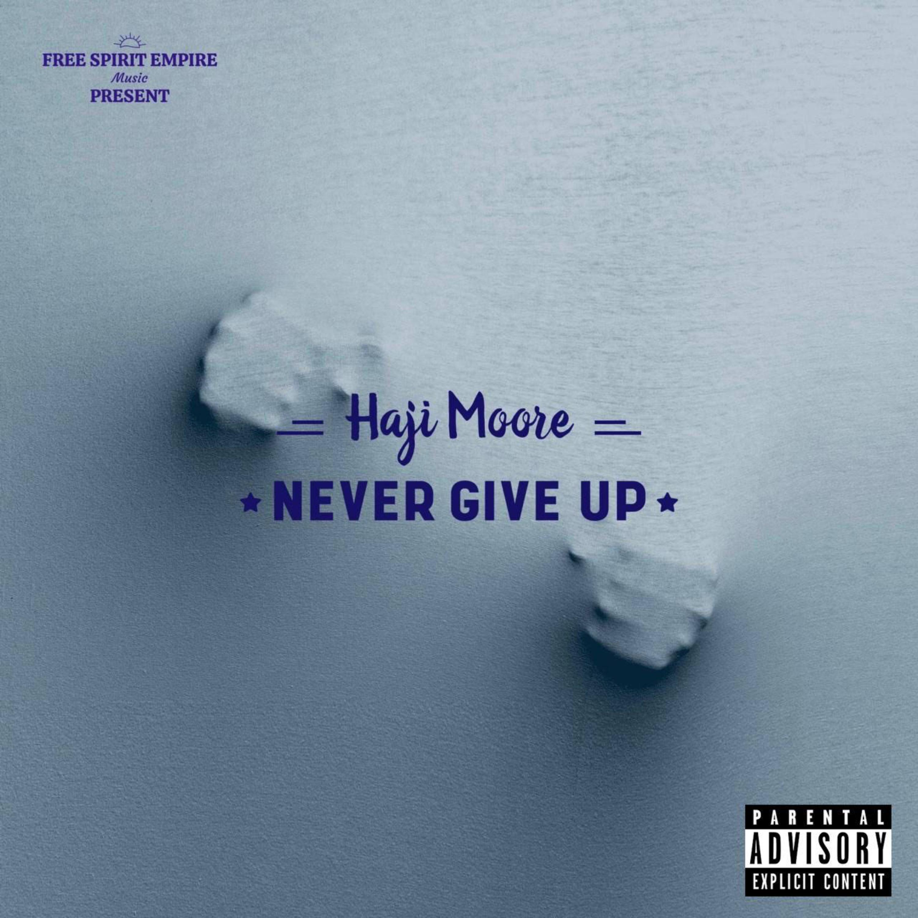 Never Give Up artwork