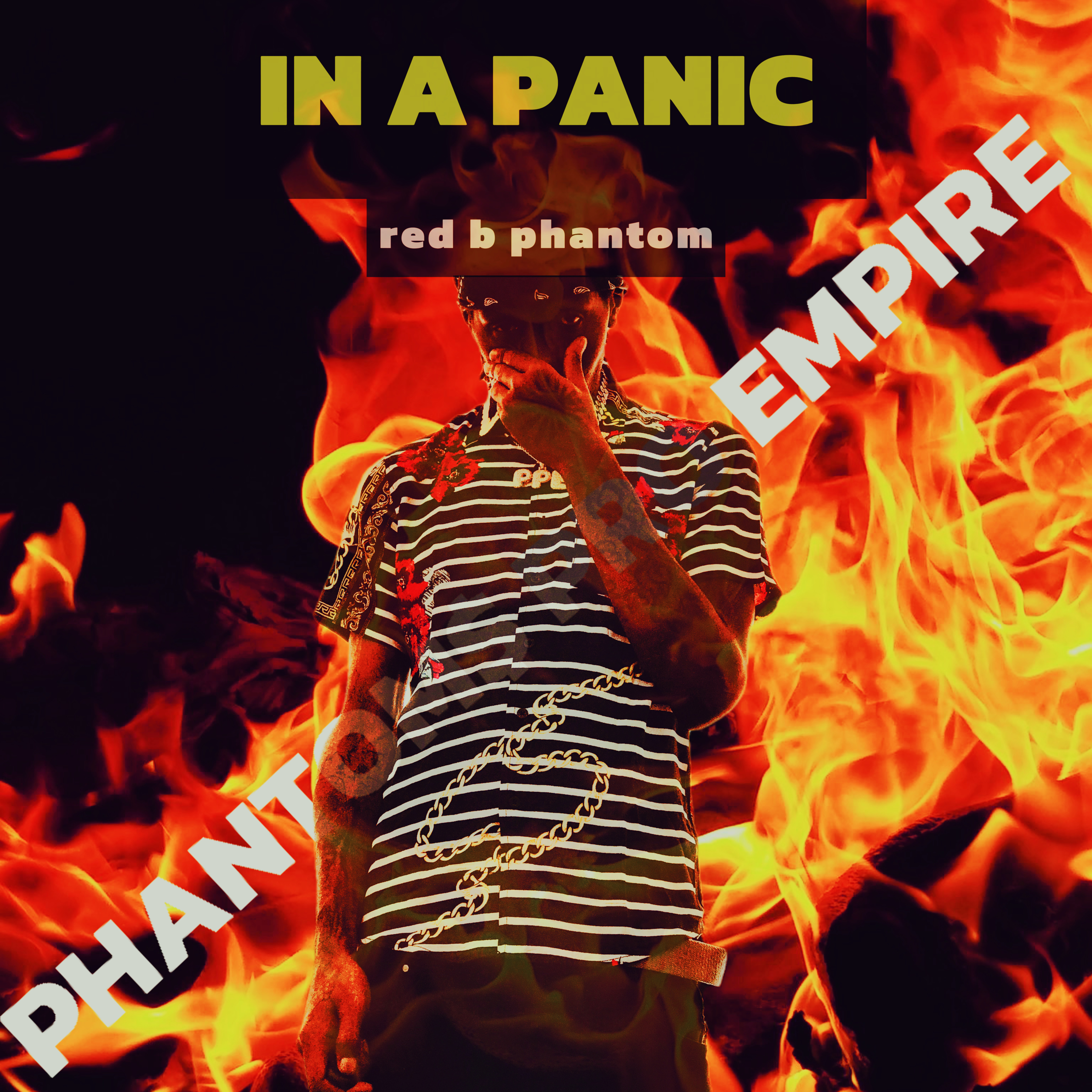 IN A PANIC artwork