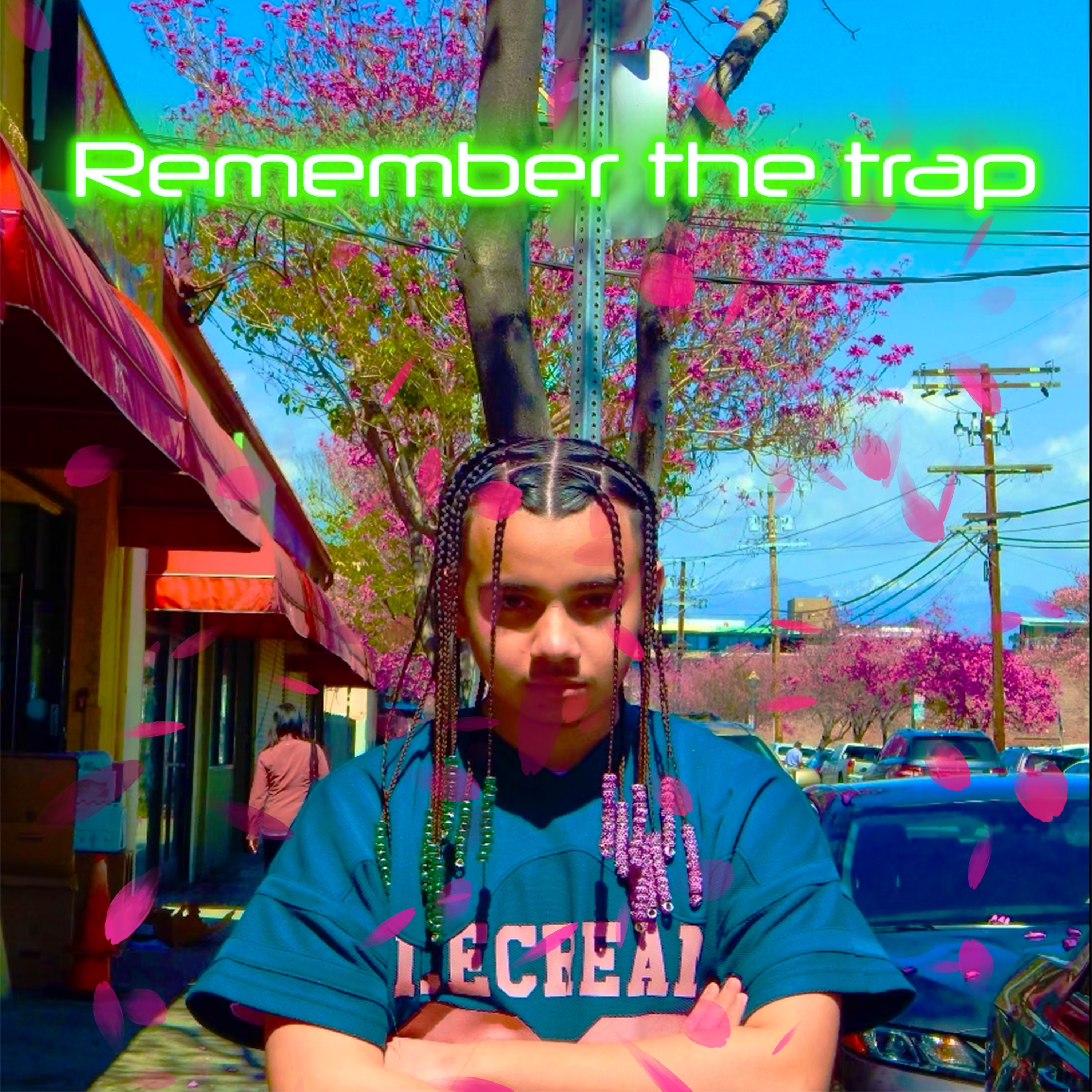 Remember The Trap artwork