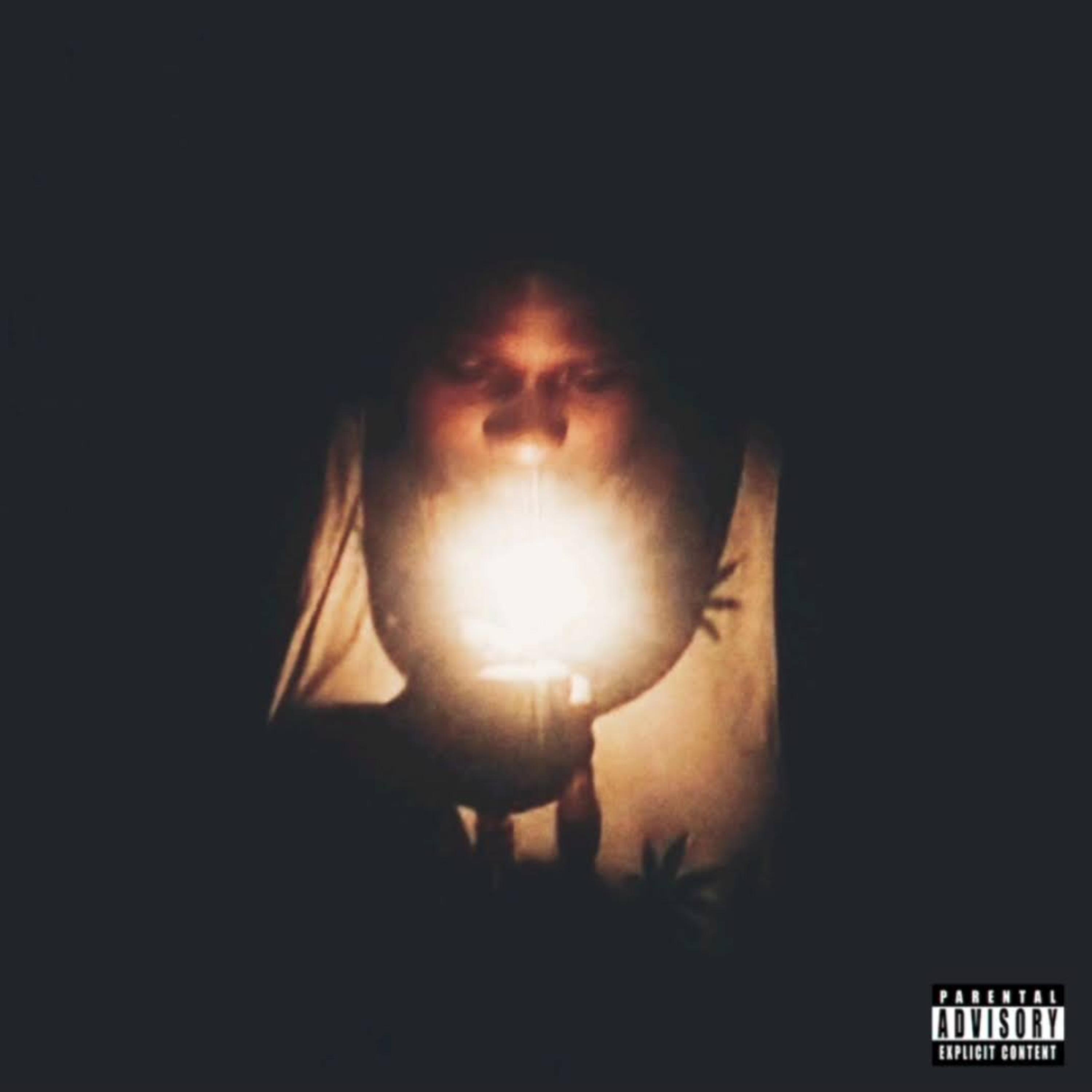Moth To A Flame artwork
