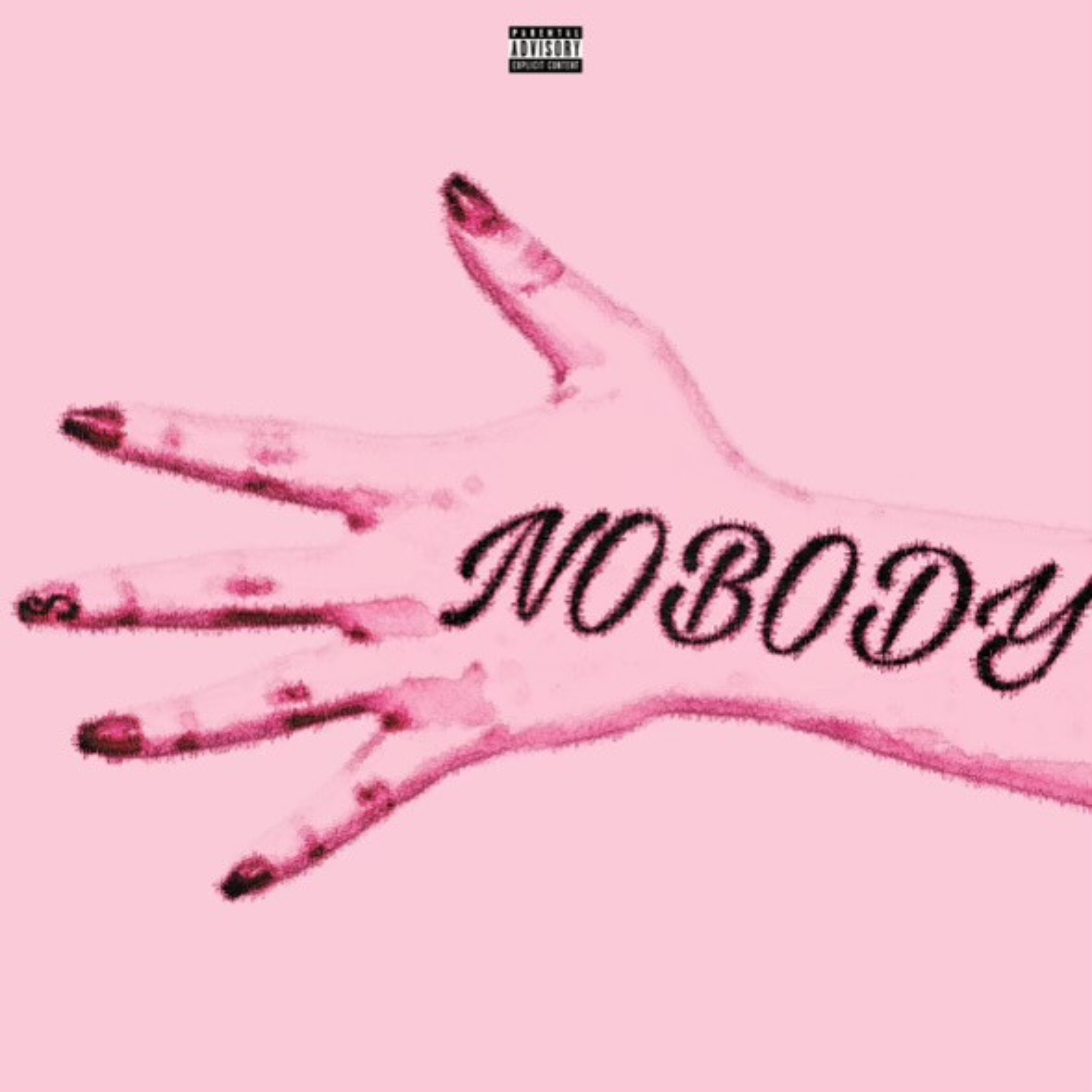 nobody artwork