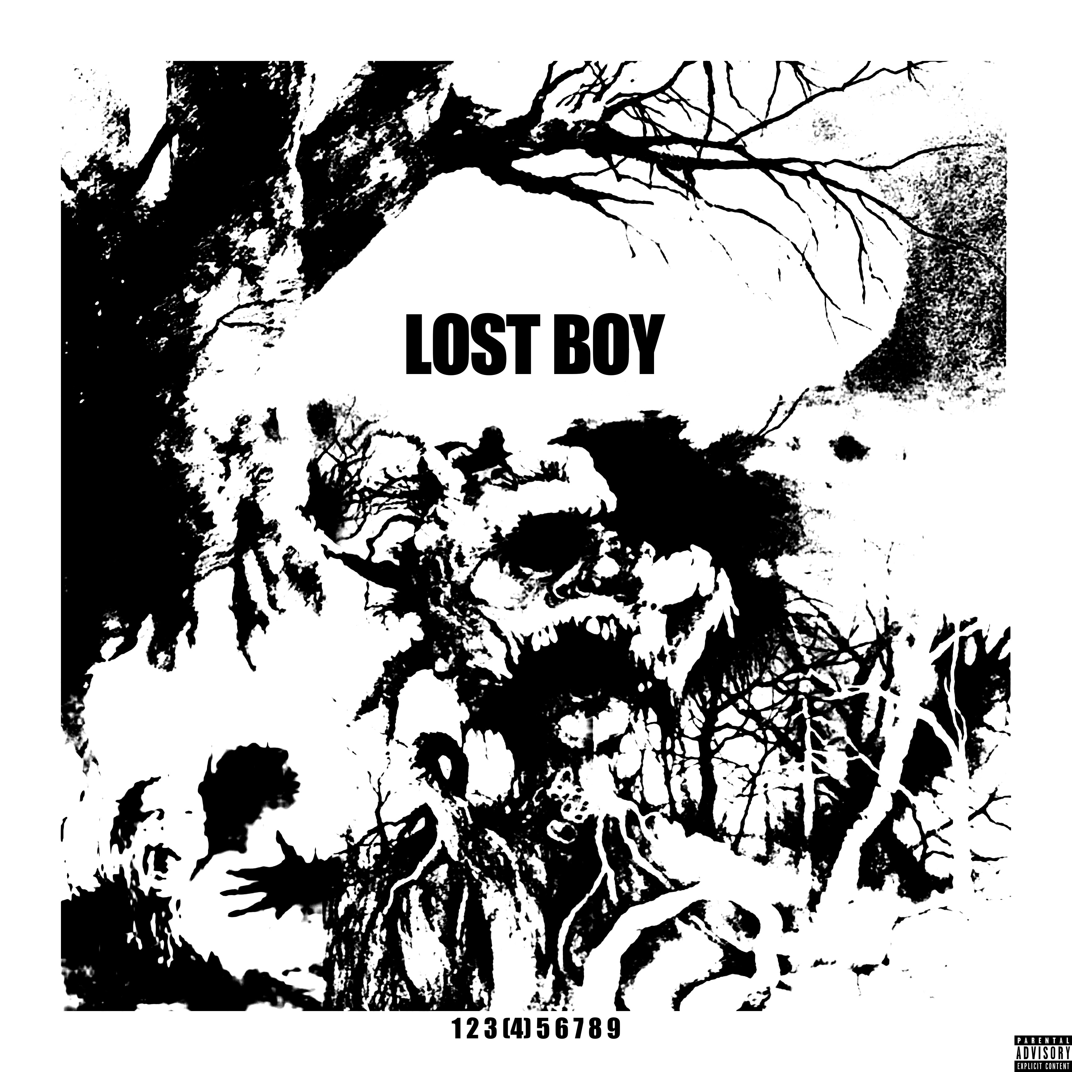 Lost Boy artwork